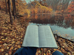 an open book sitting on top of a leaf covered ground