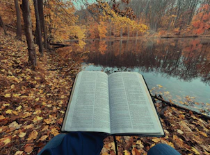 an open book sitting on top of a leaf covered ground