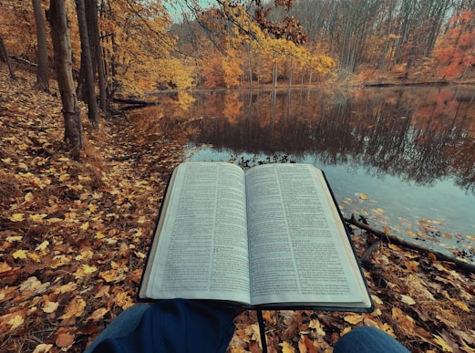 an open book sitting on top of a leaf covered ground