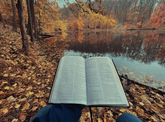 an open book sitting on top of a leaf covered ground