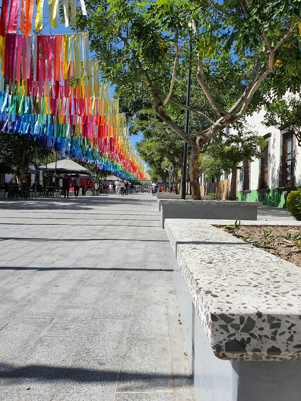 a row of colorful flags hanging from a line of trees