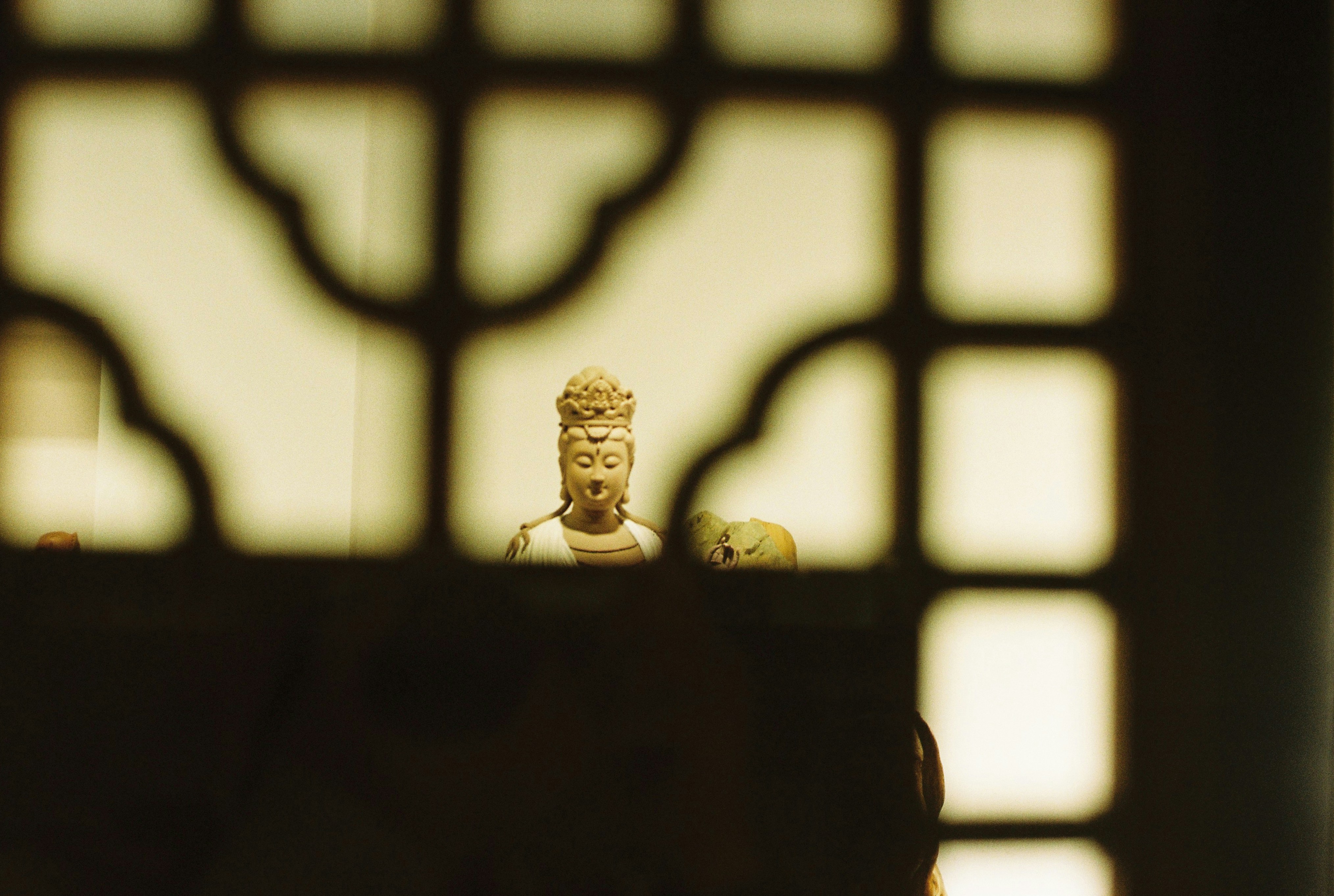 Photo by geraltyichen