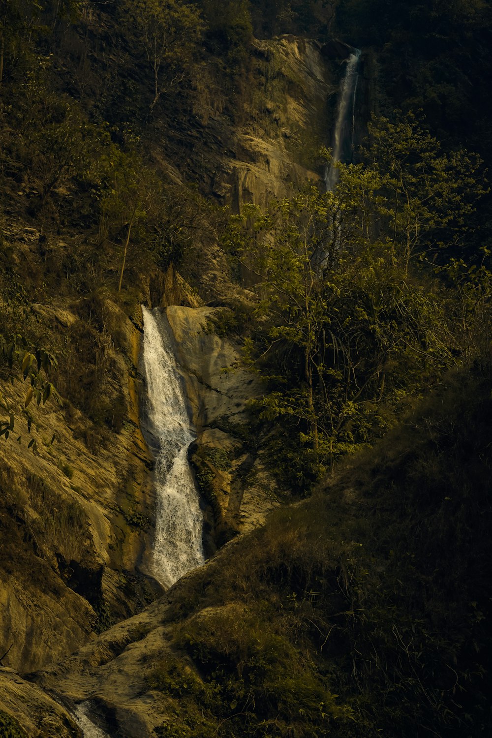 uma cachoeira no meio de uma floresta