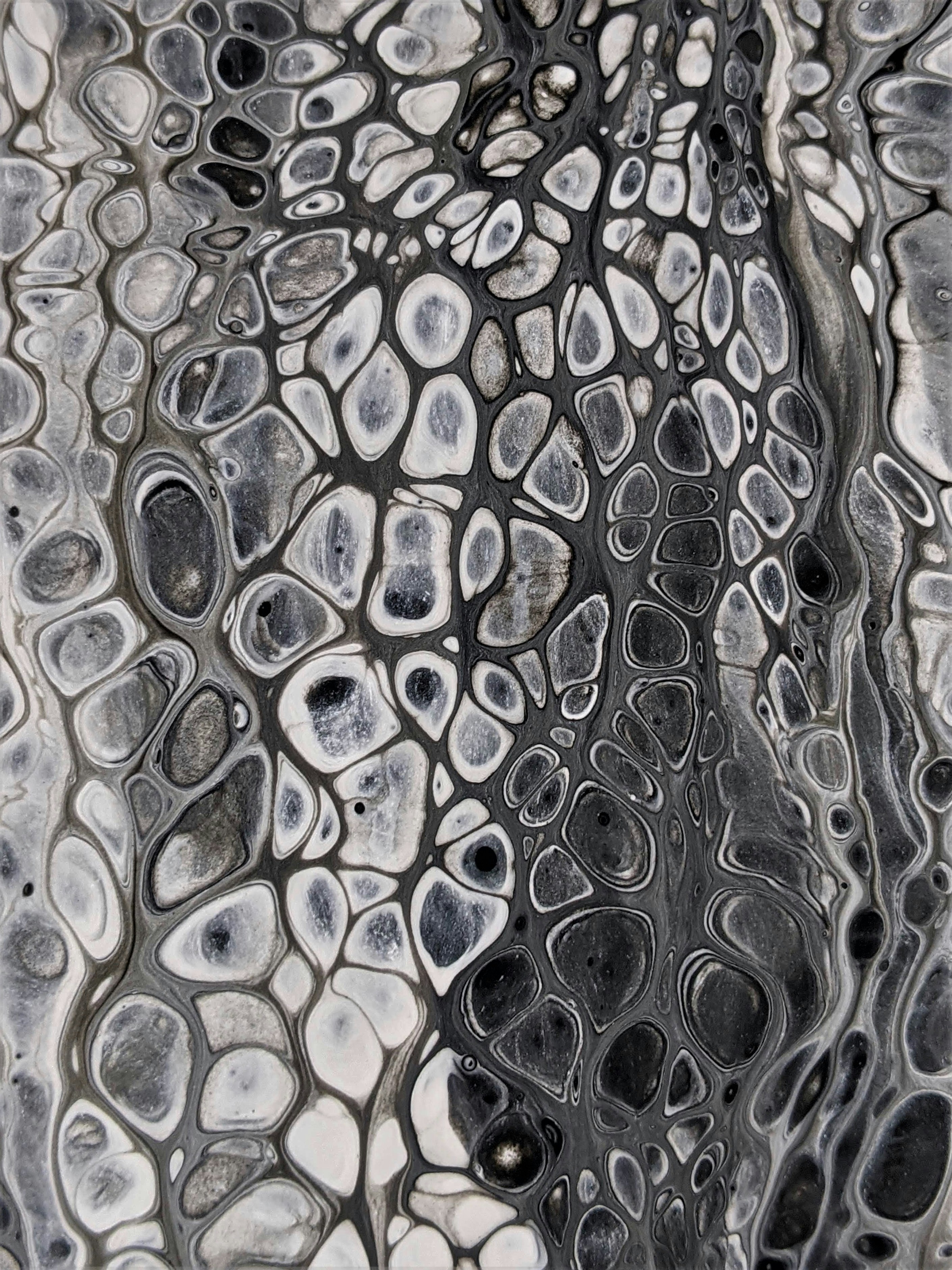 Photo by susan_wilkinson