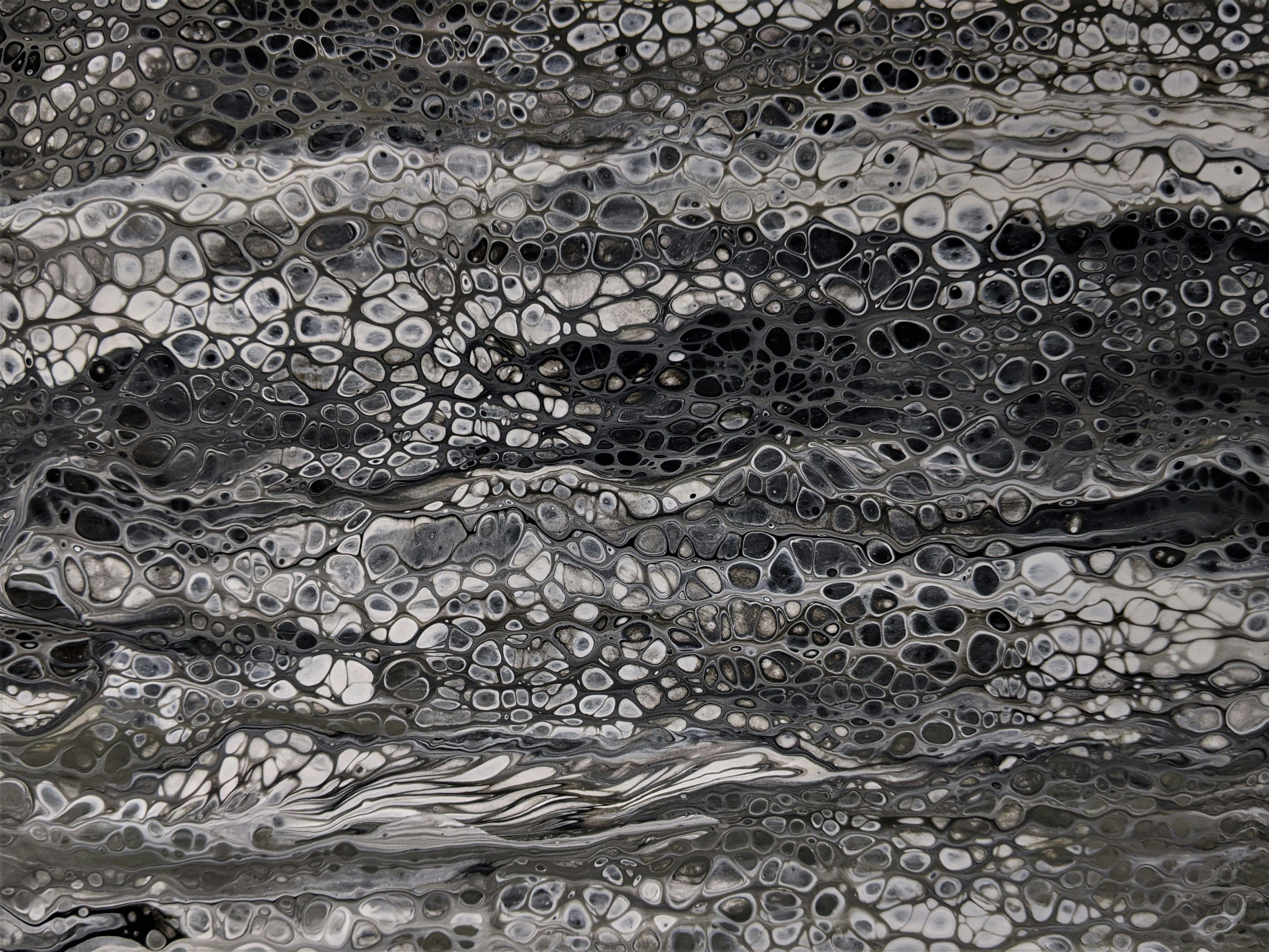 Photo by susan_wilkinson