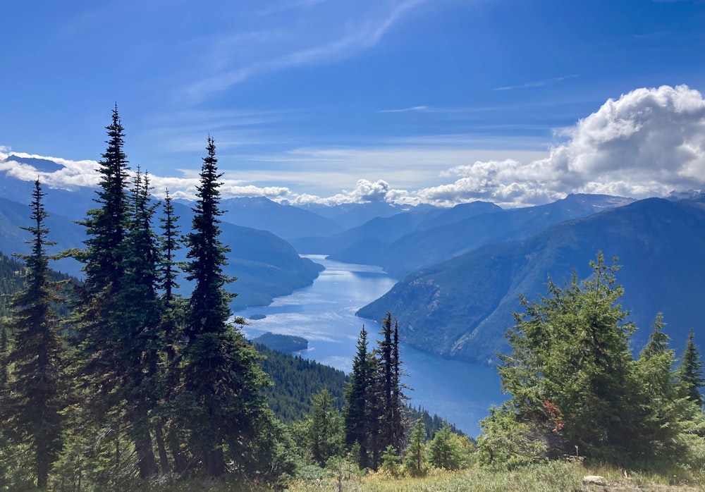 a scenic view of a lake surrounded by trees