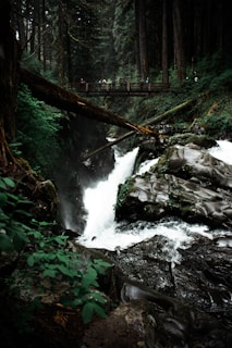 a bridge over a small waterfall in a forest