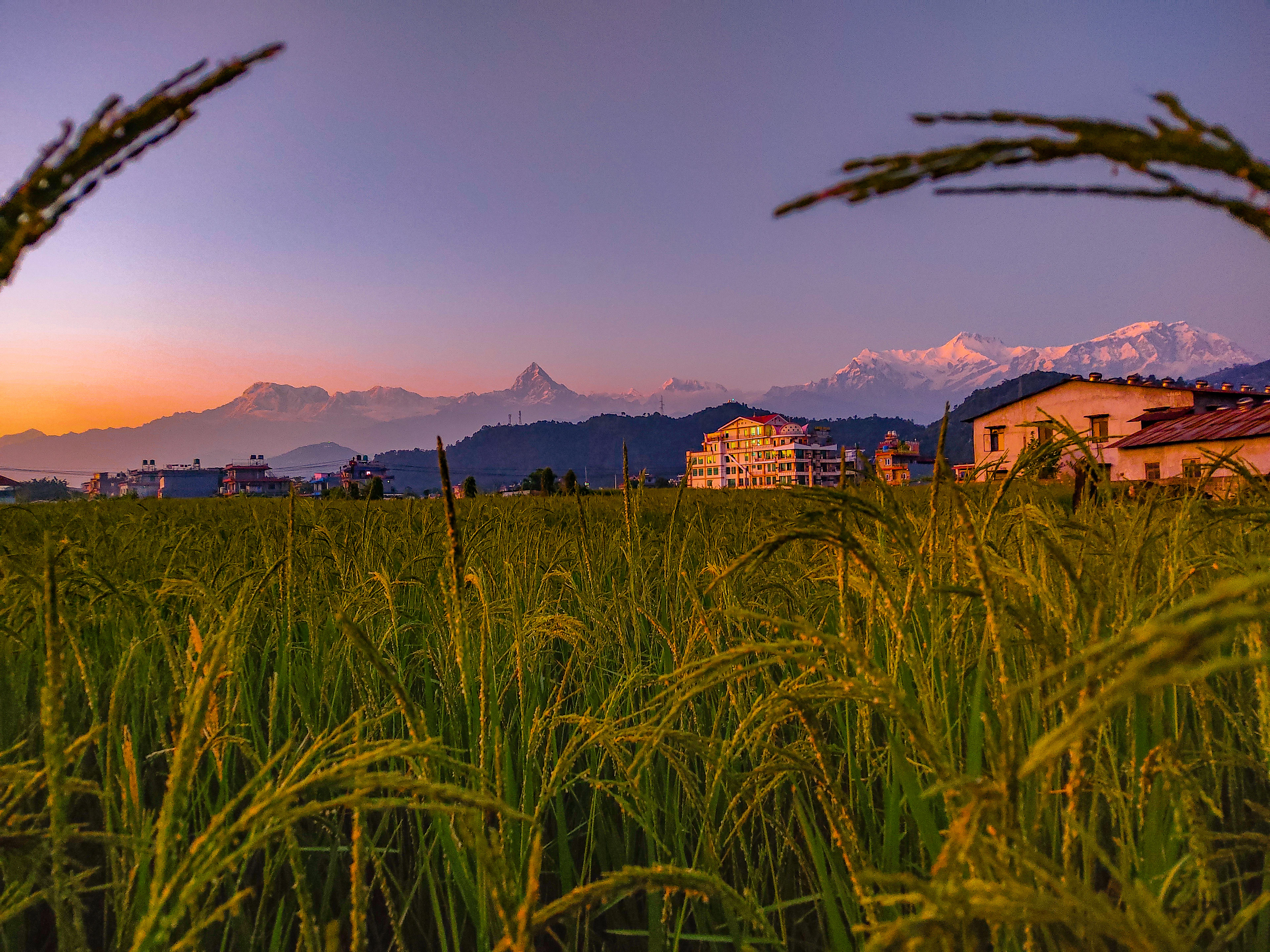 Pokhara culture
