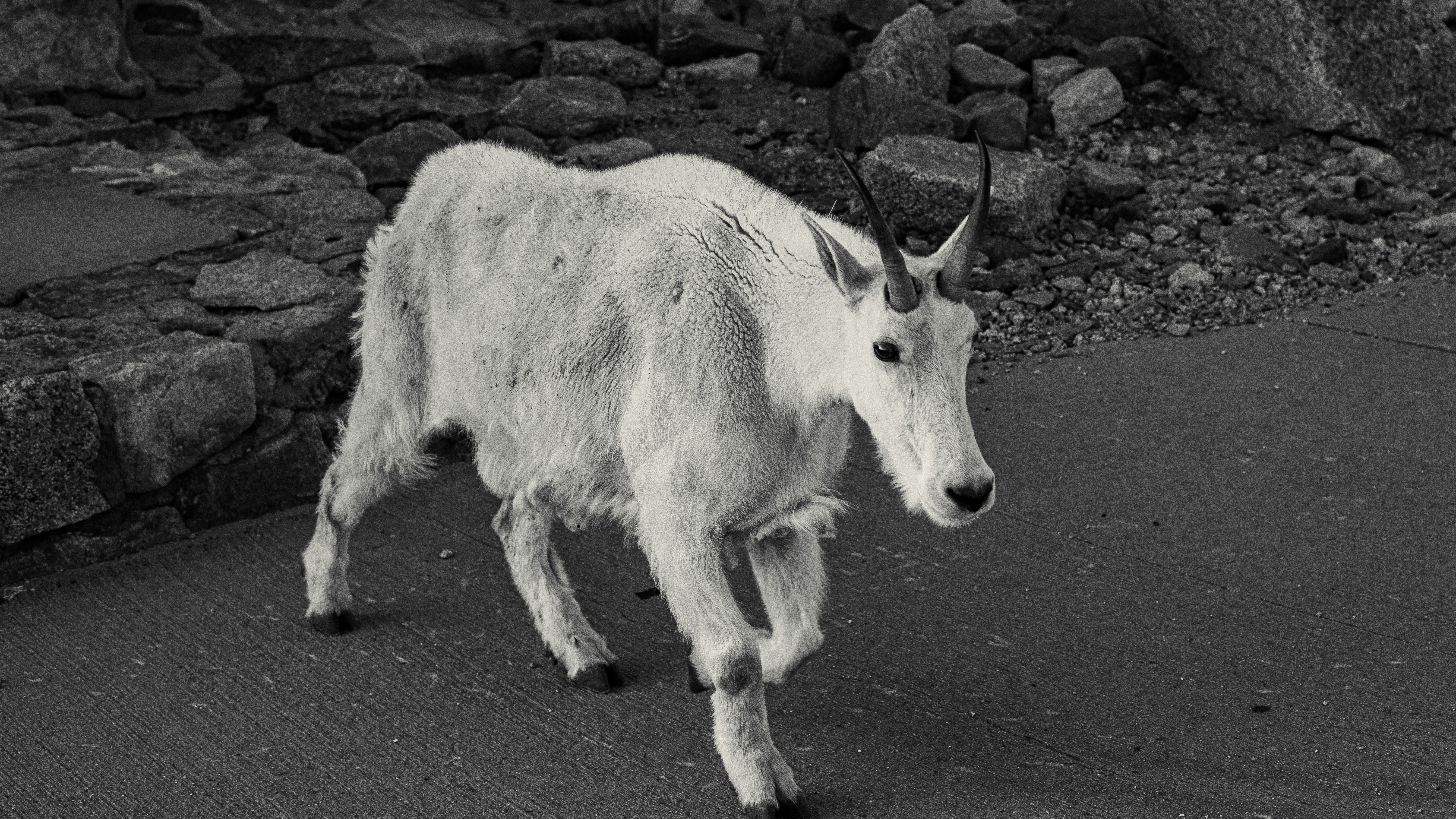 Photo by photosoflogan