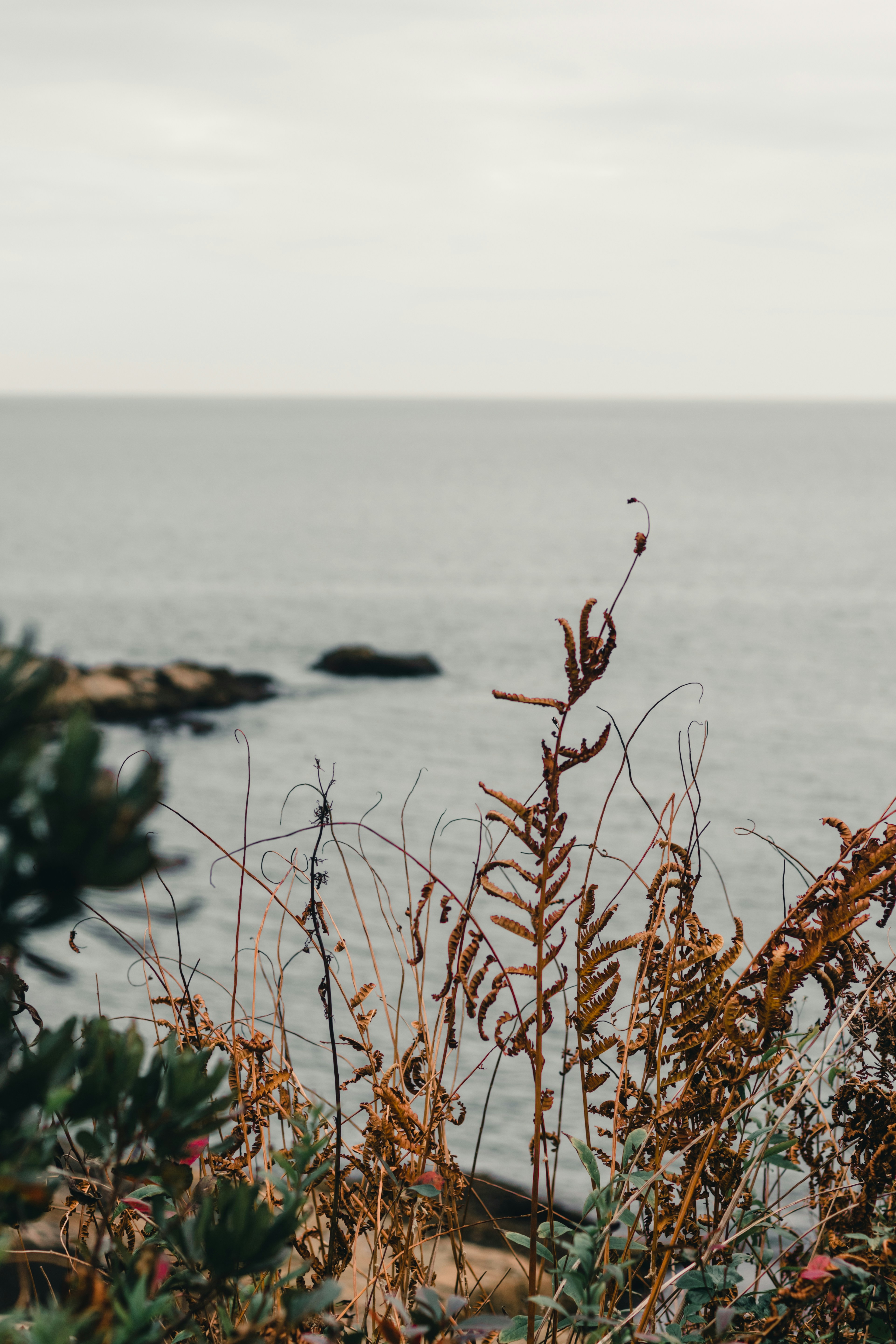 Photo by lureofadventure