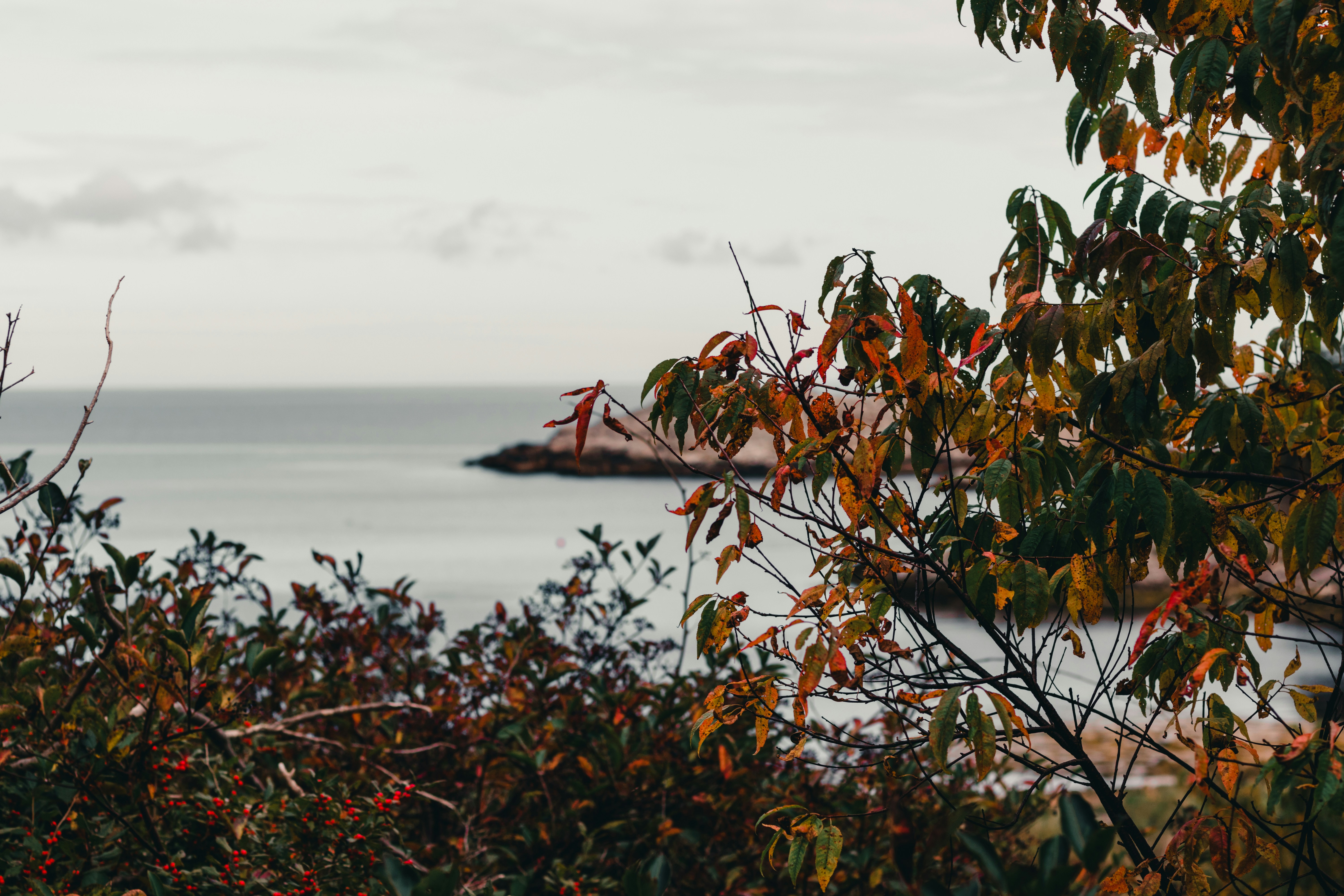 Photo by lureofadventure