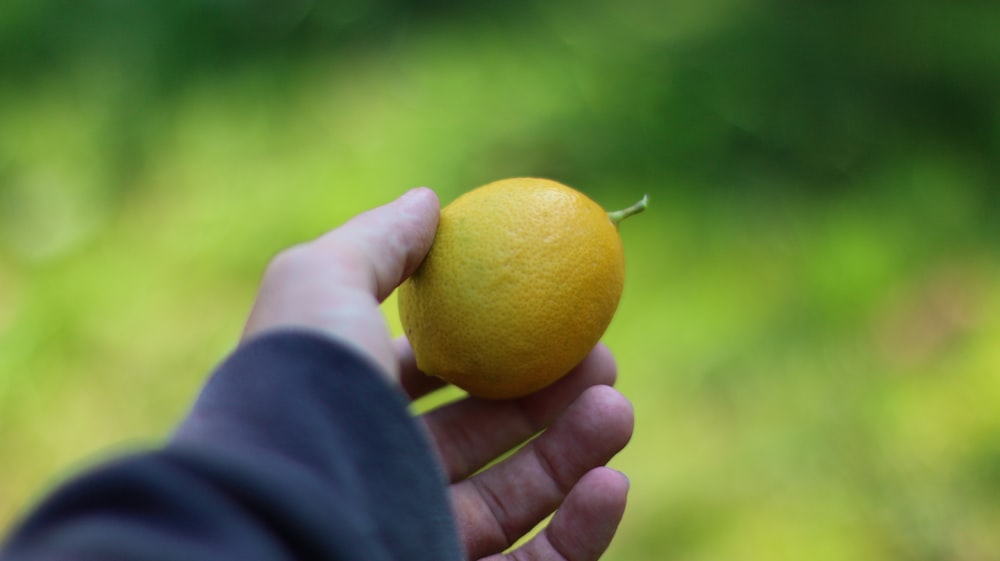 a person holding an orange in their hand