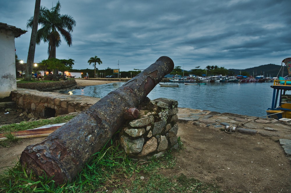 a large log sitting on the ground next to a body of water