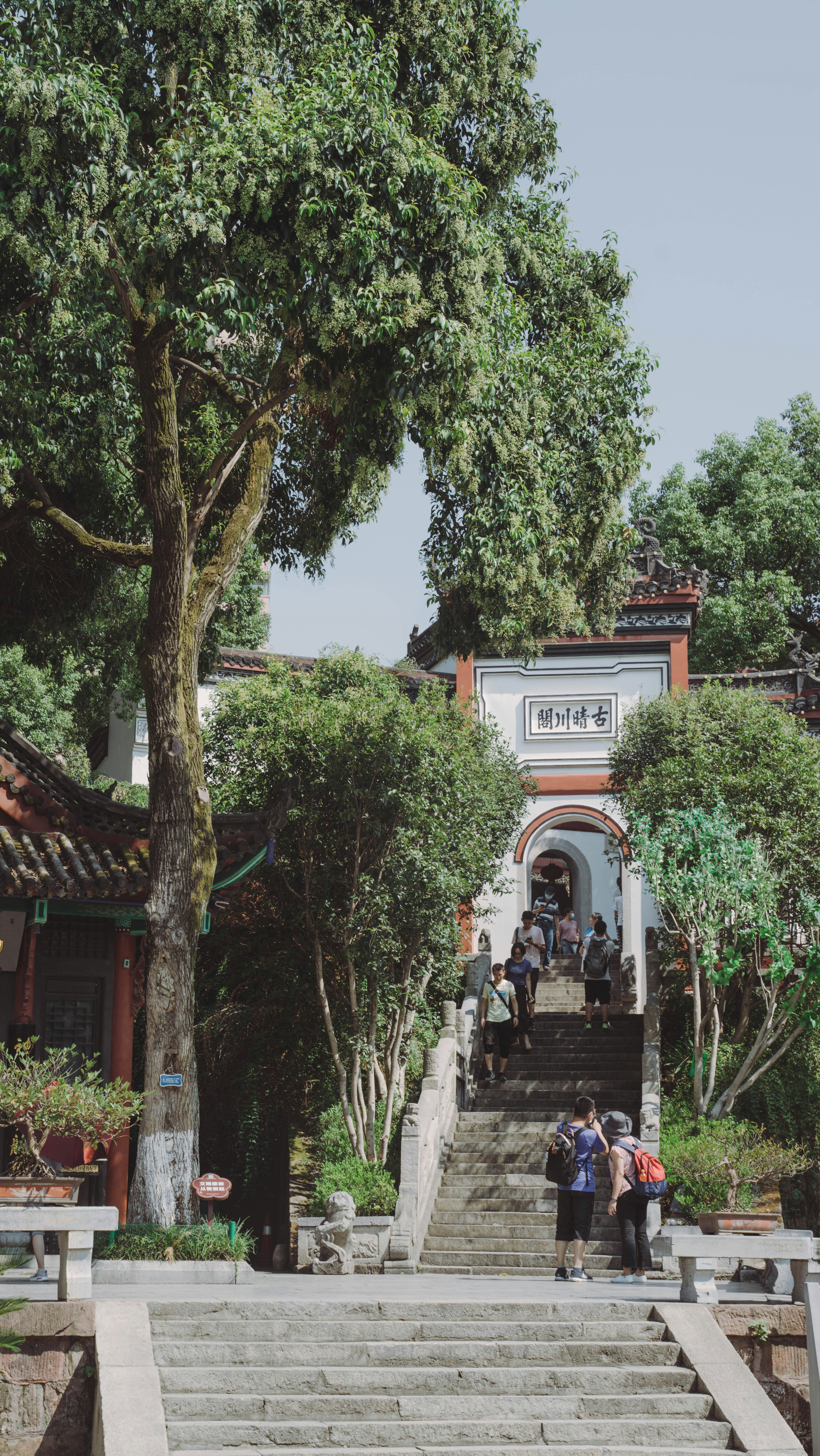 A group of people walking up a set of stairs photo – Free Wuhan Image ...