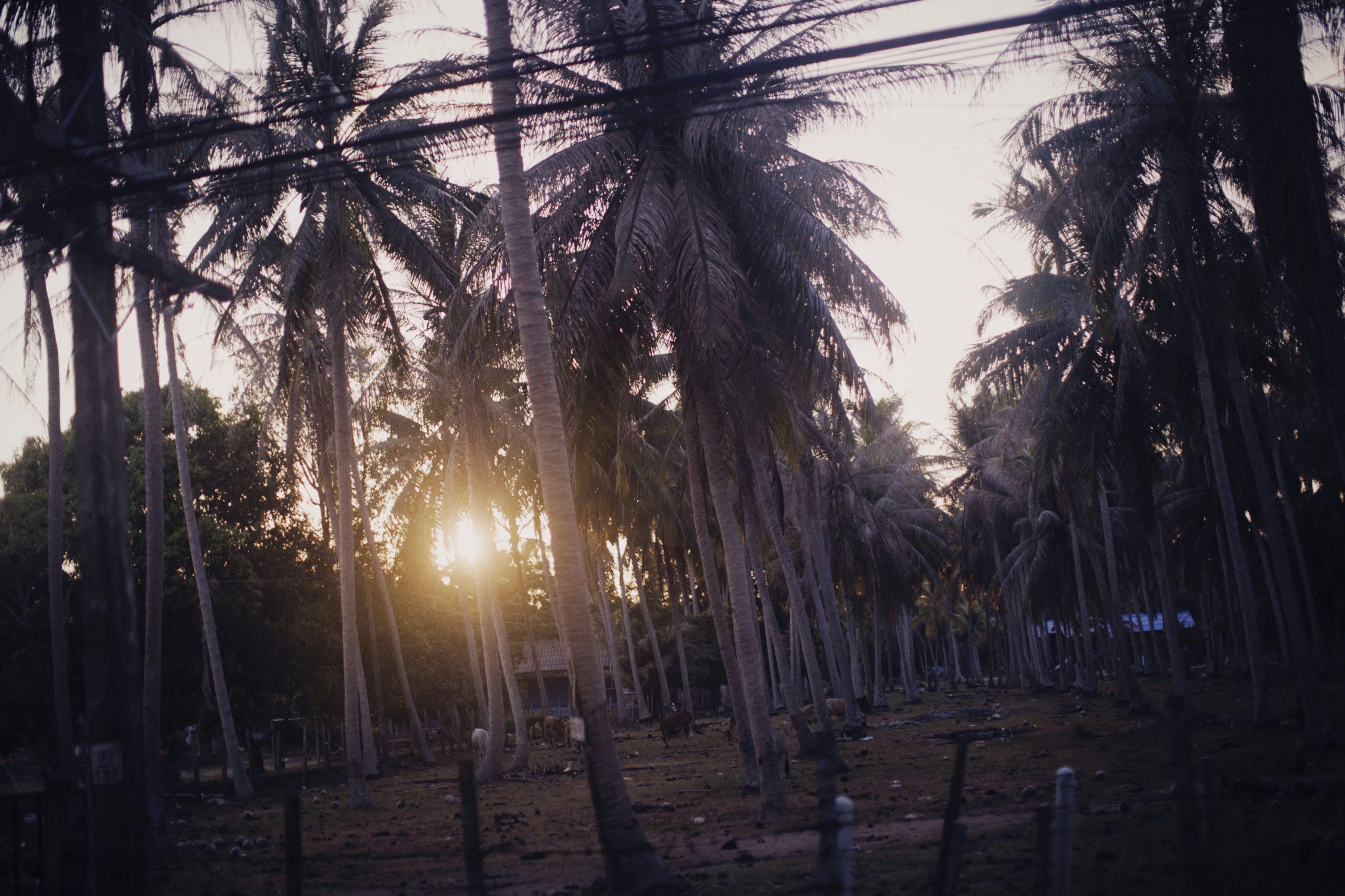 Photo by alexeydemidov