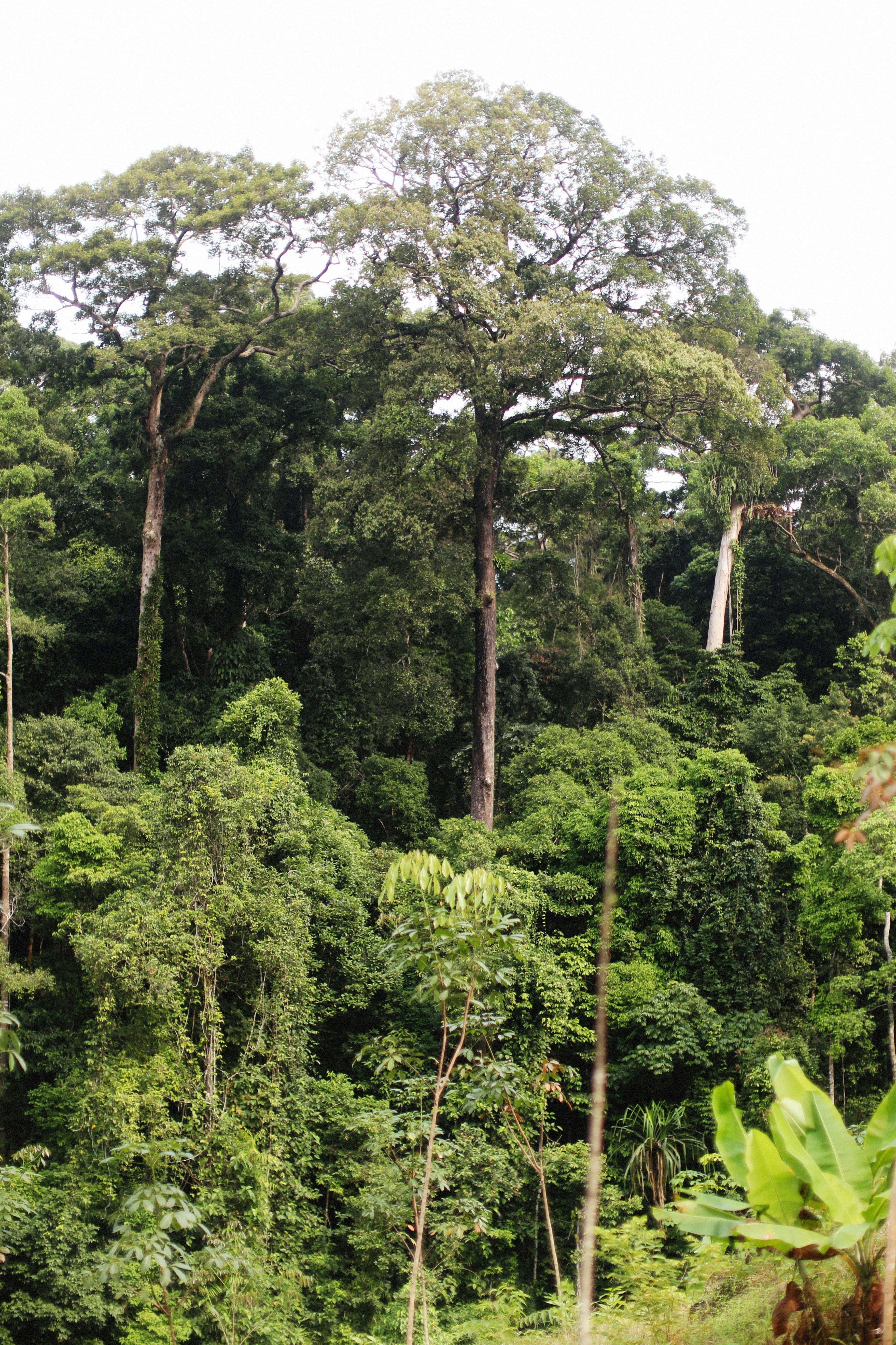 Photo by alexeydemidov