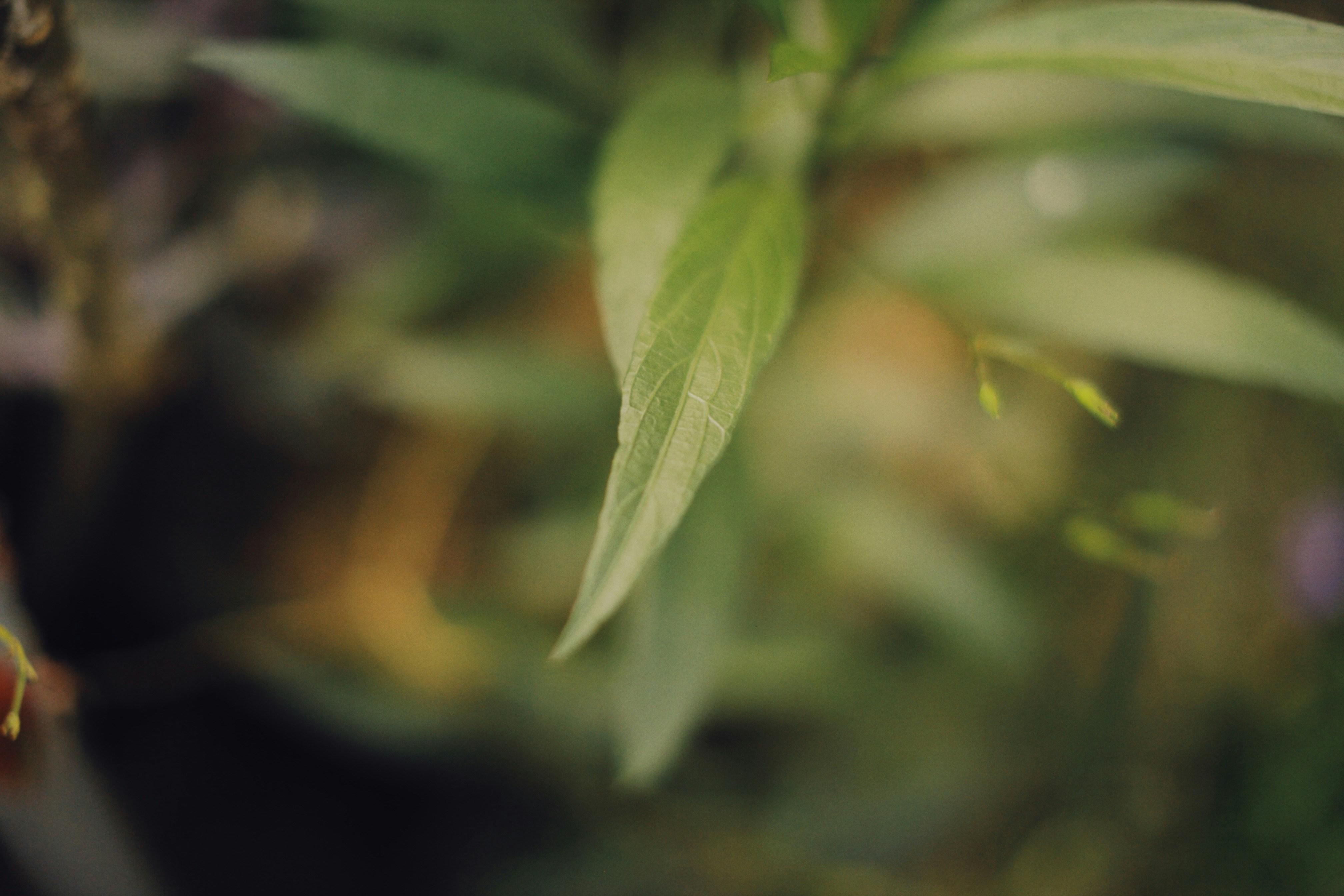 Photo by alexeydemidov