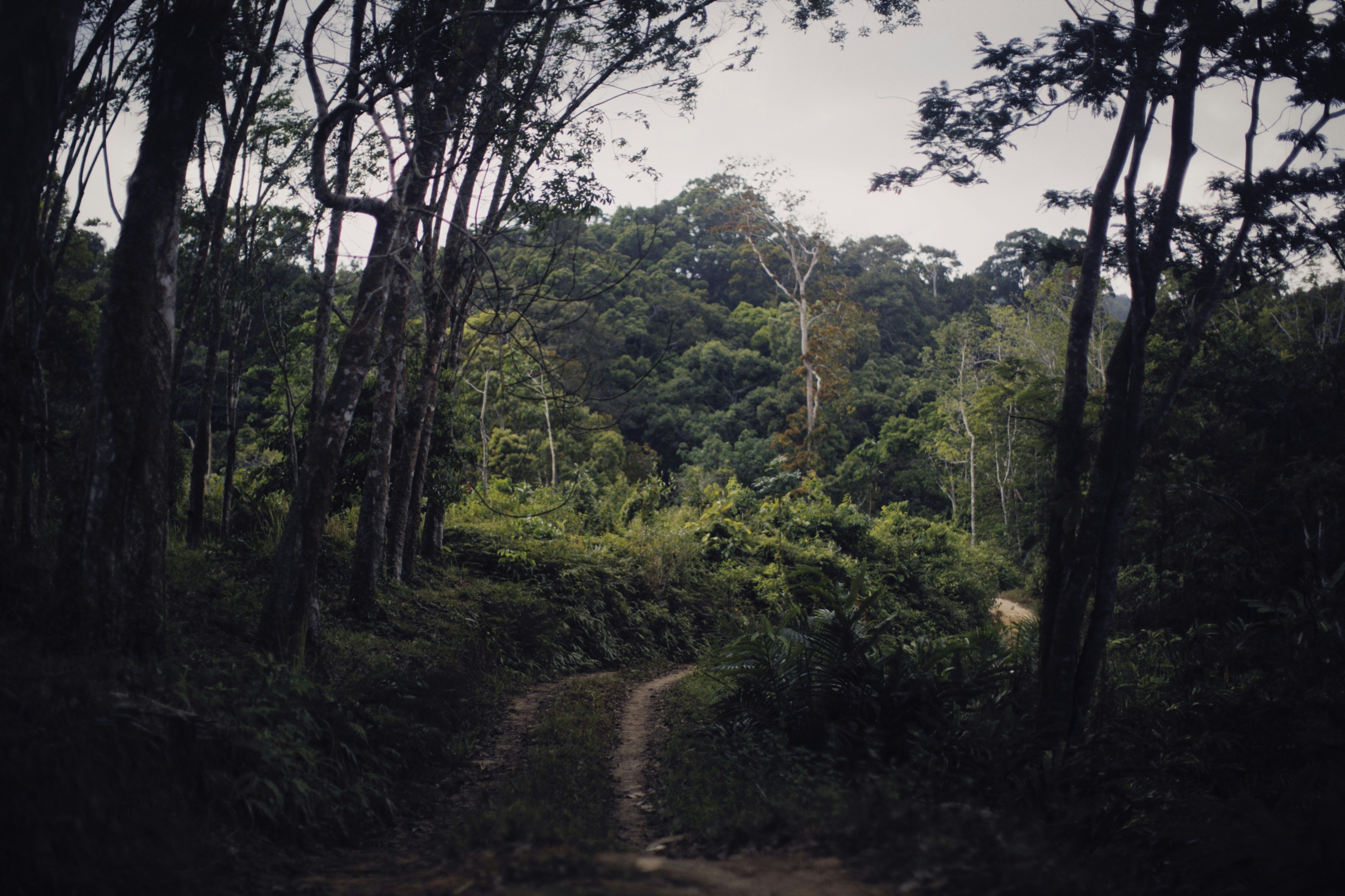 Photo by alexeydemidov