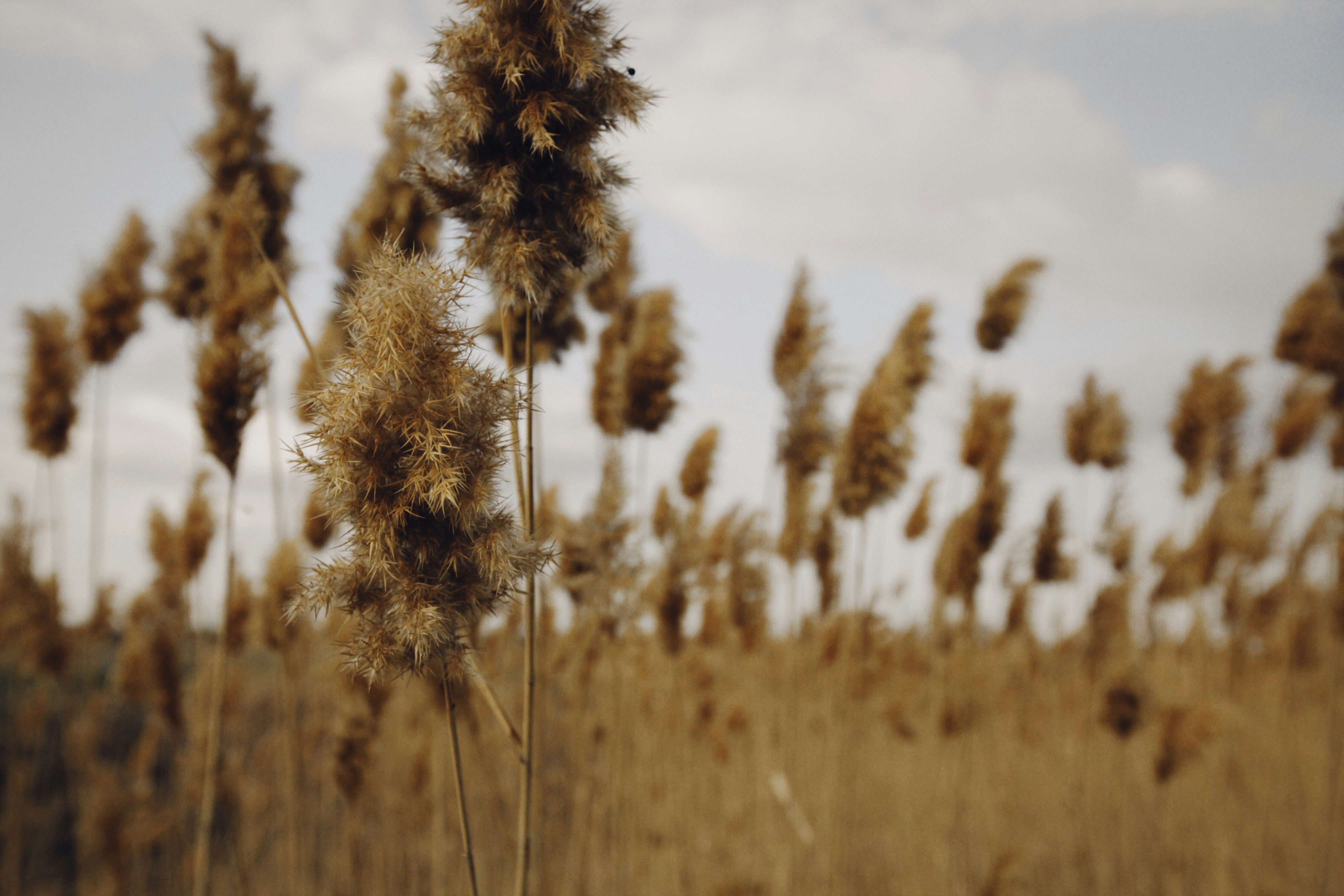 Photo by alexeydemidov