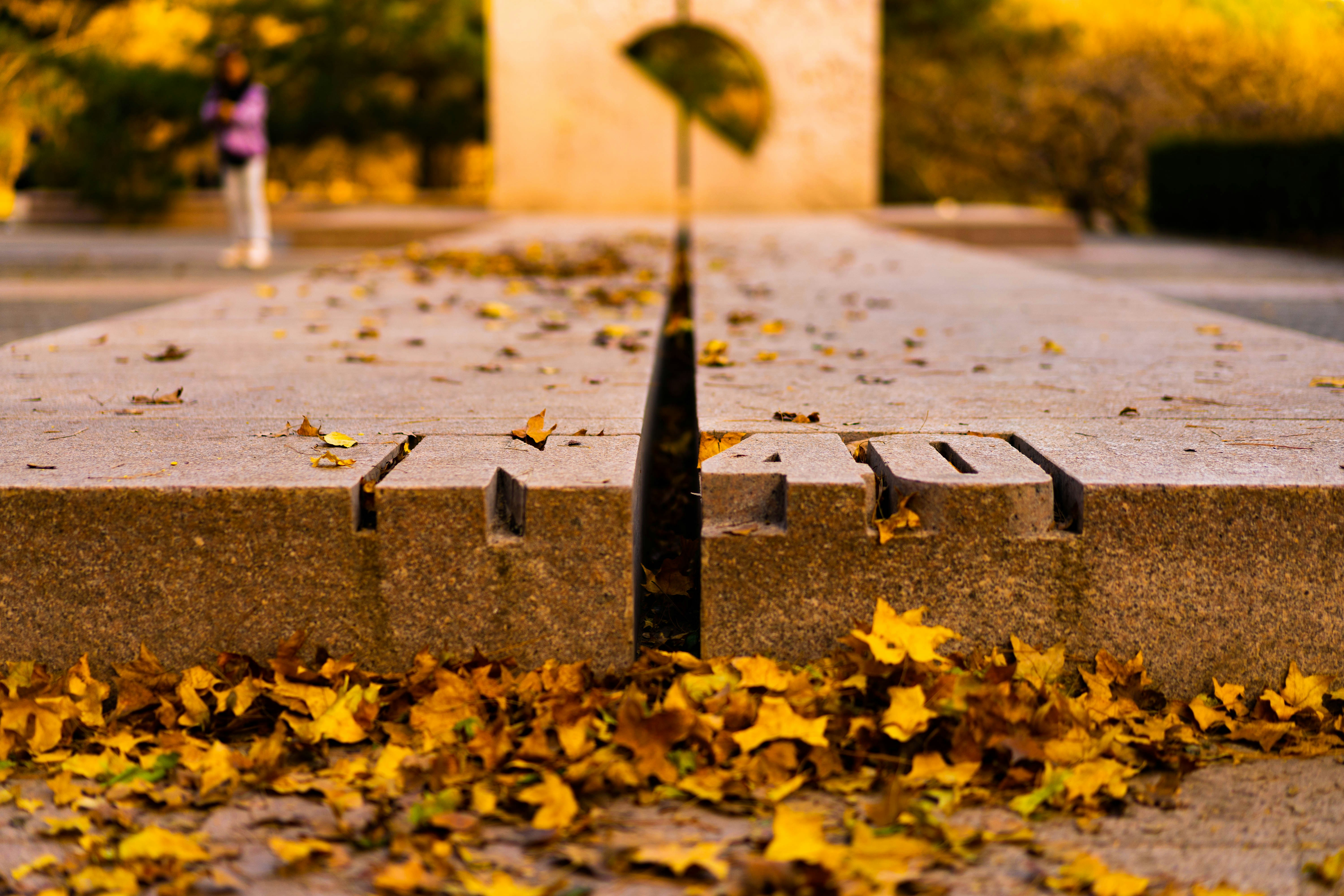 Photo by alexanderxiaoyu