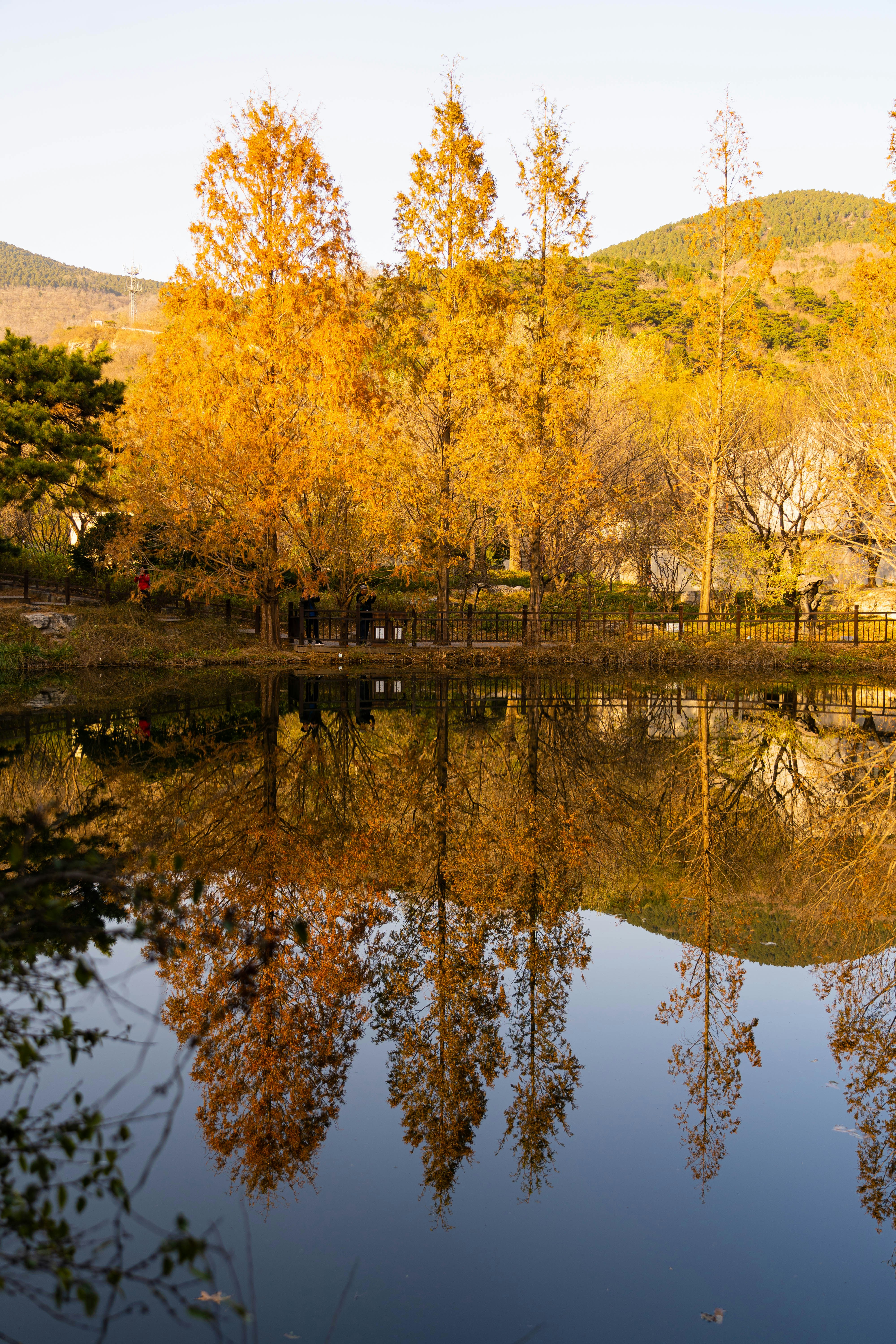 Photo by alexanderxiaoyu