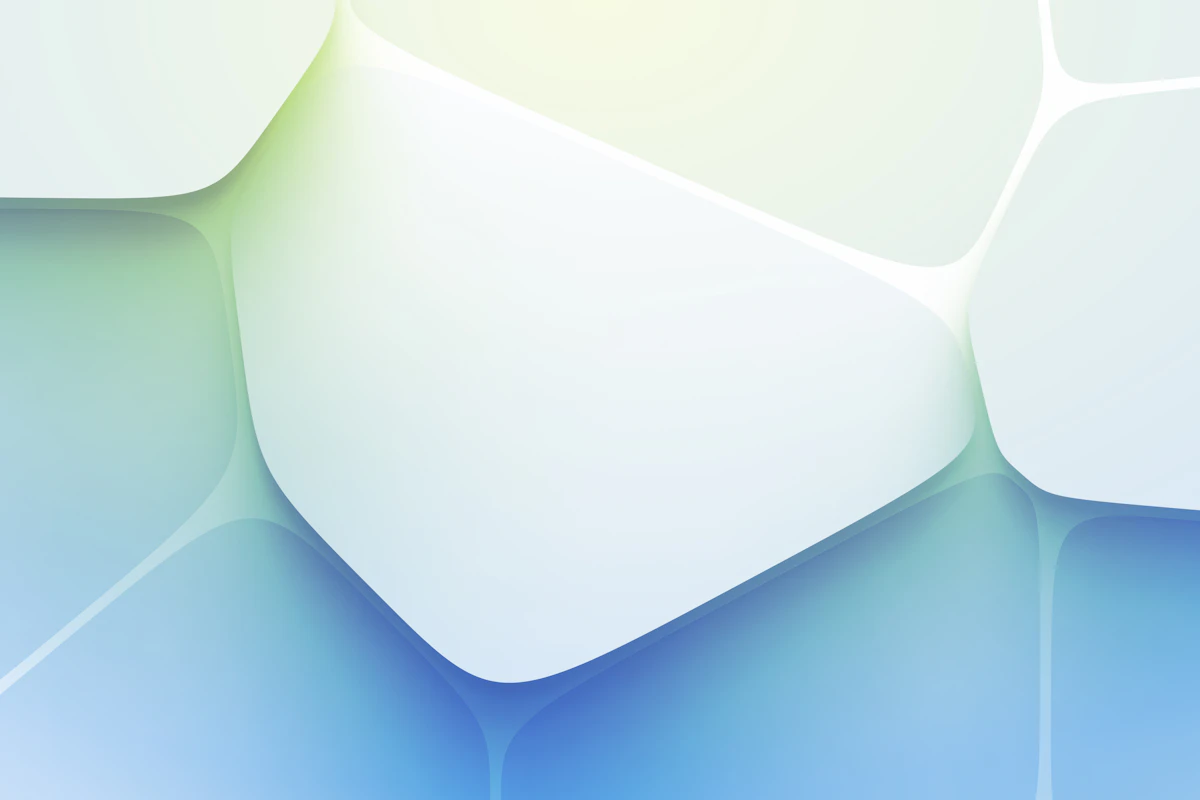 Brand identity design elements including logo concepts and color swatches