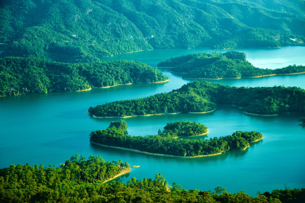 an aerial view of a body of water surrounded by trees