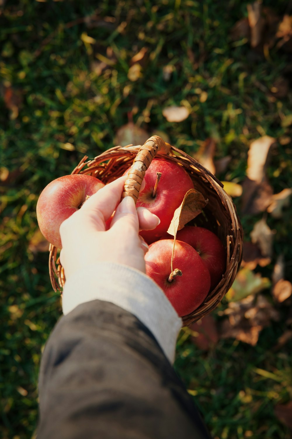a person holding a basket of apples in their hand