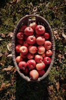a basket filled with lots of red apples