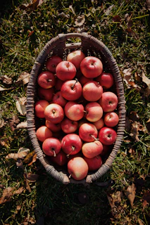 a basket filled with lots of red apples