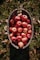 a basket filled with lots of red apples