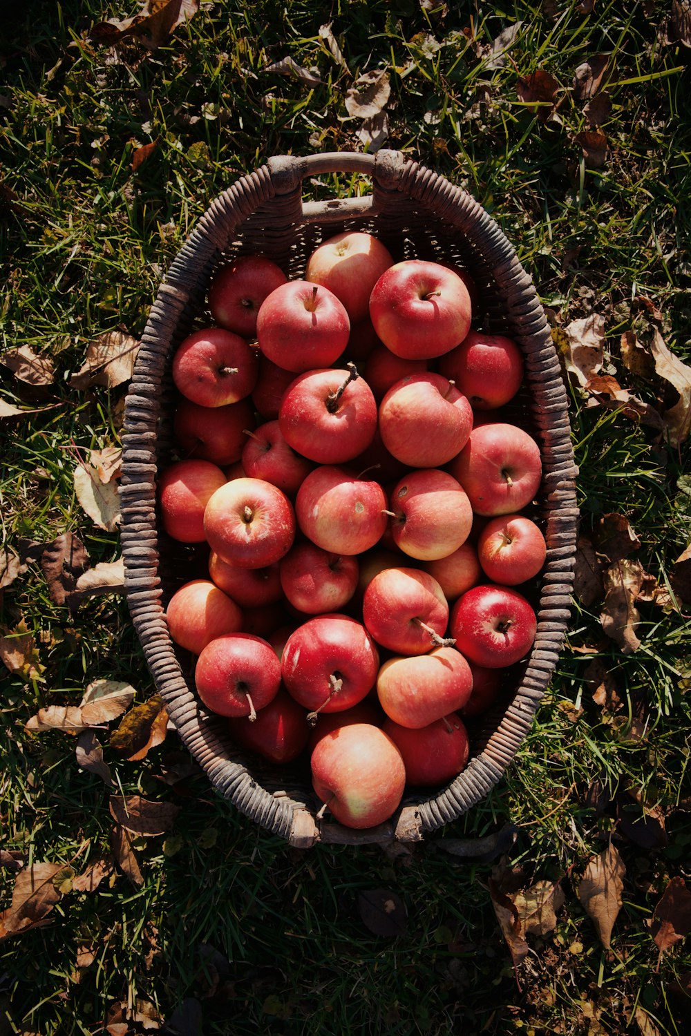 a basket filled with lots of red apples