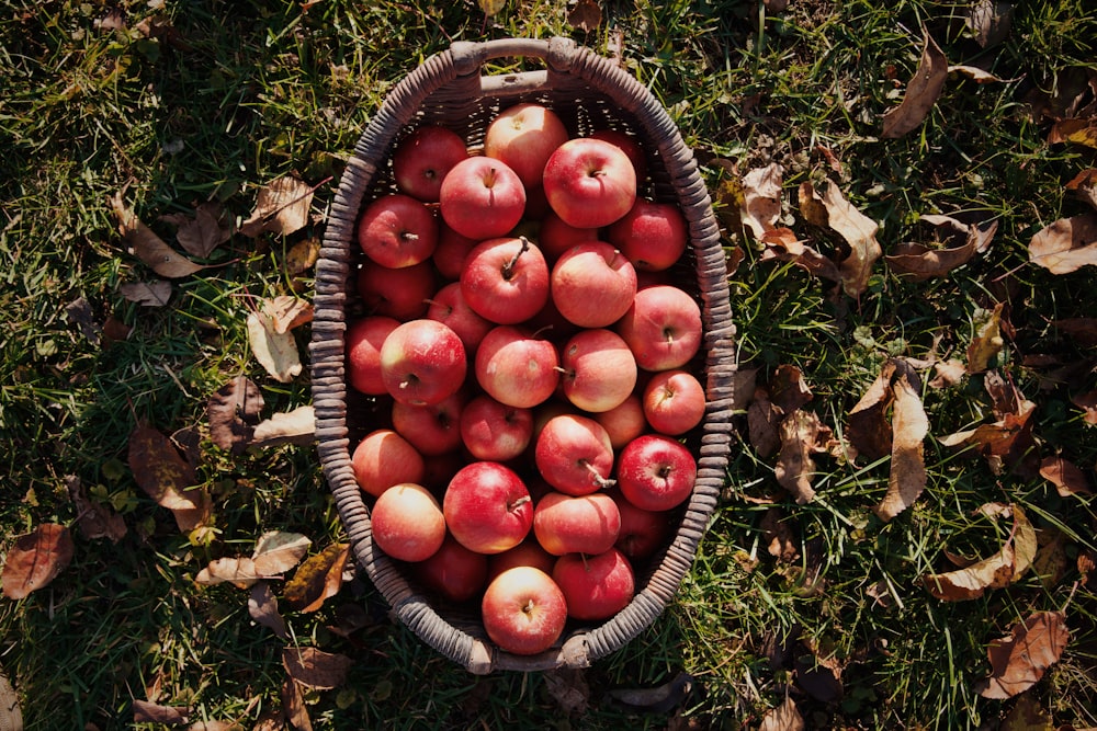 a basket filled with lots of red apples