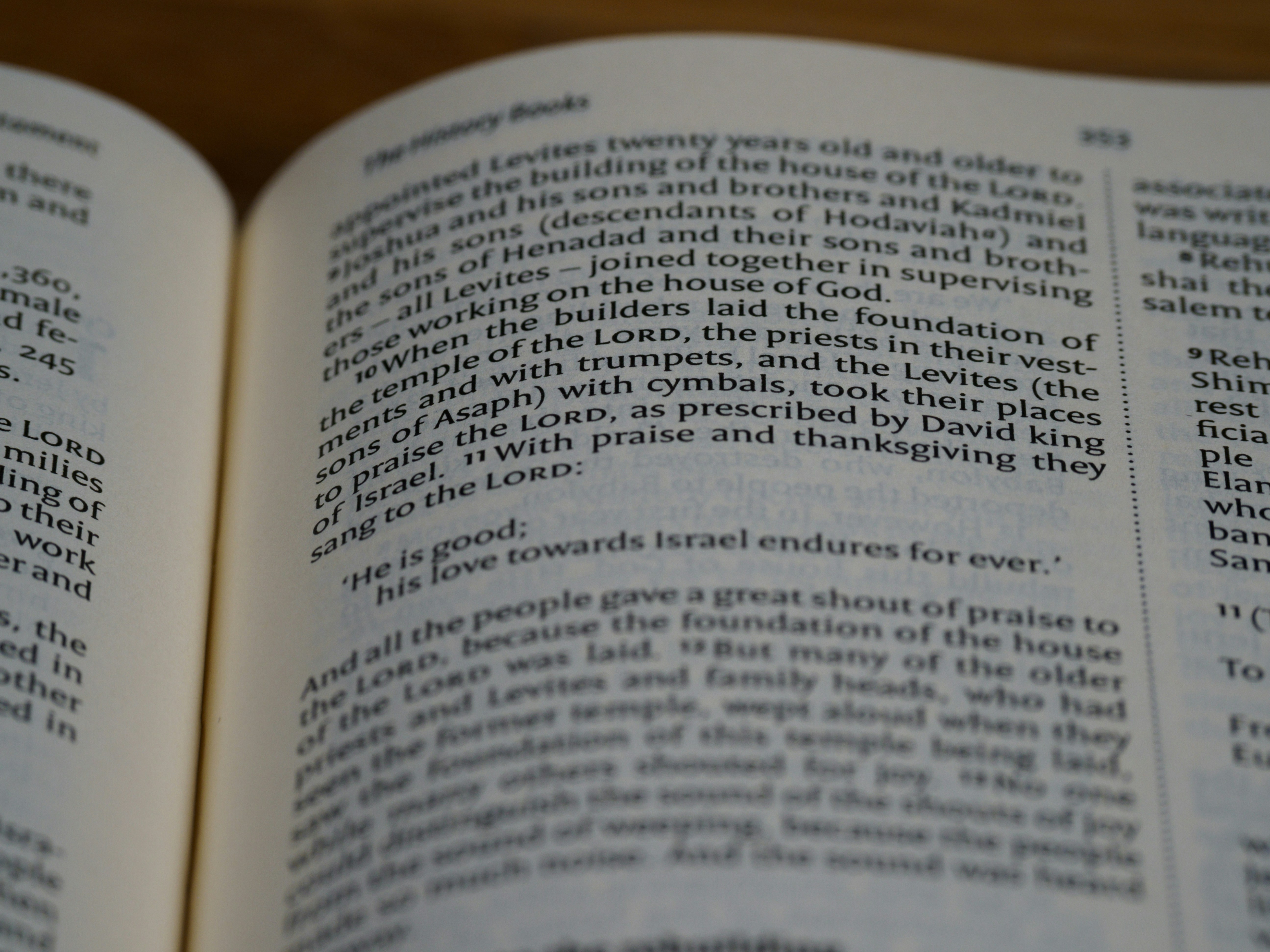 Photo by brett_jordan