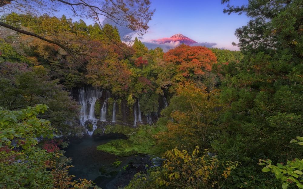 a waterfall surrounded by trees with a mountain in the background