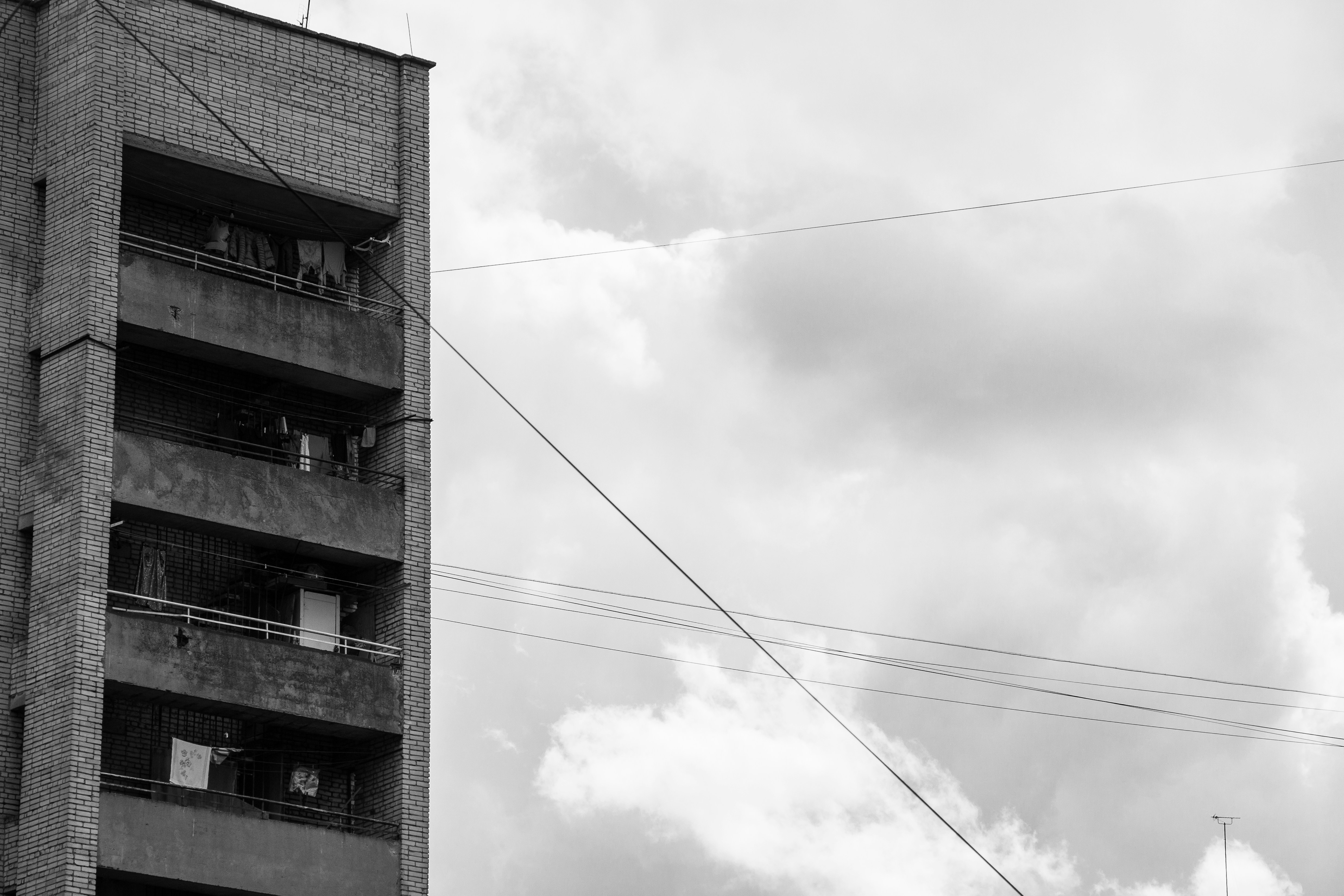 Photo by nocturnal_corvus