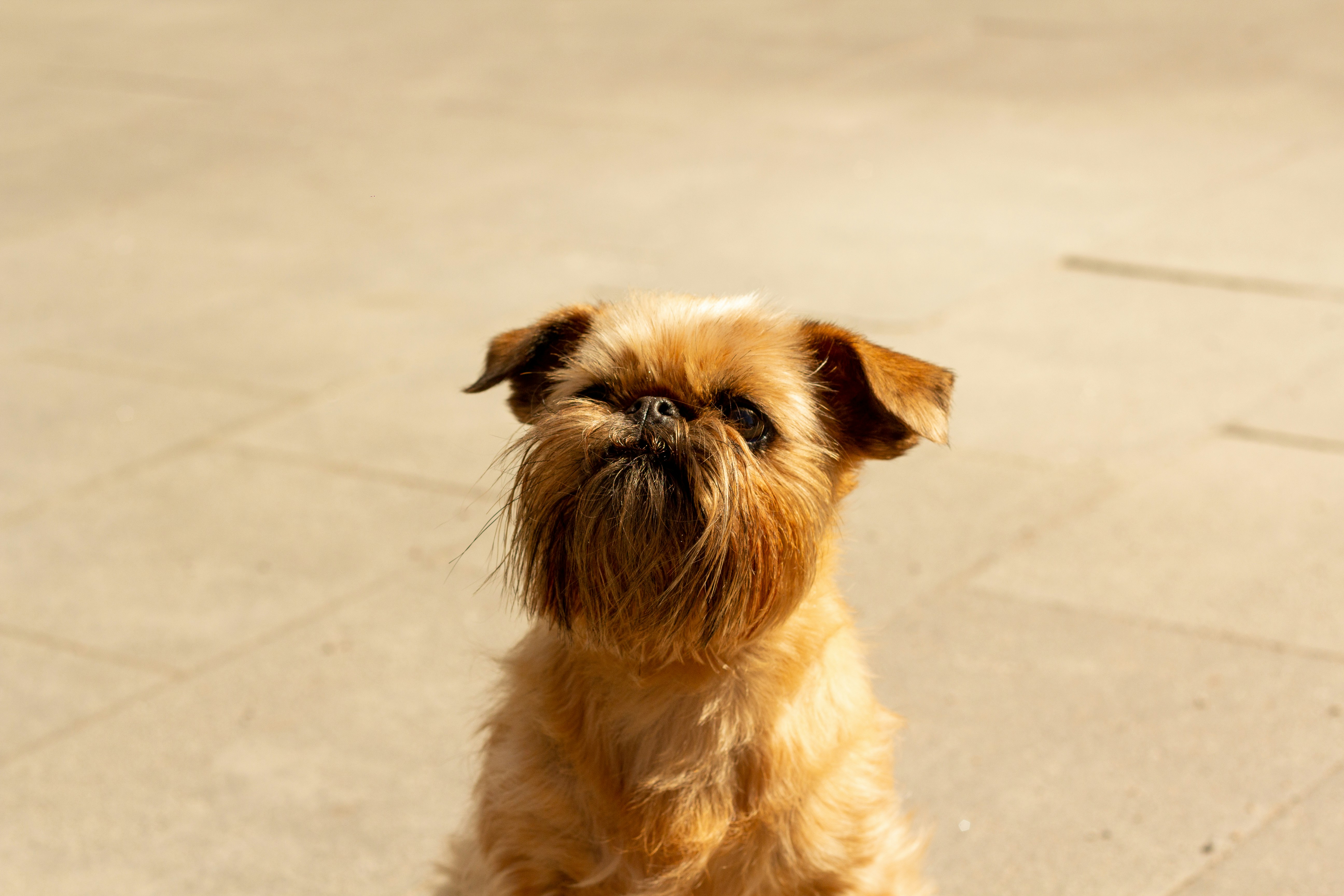 Photo by nocturnal_corvus