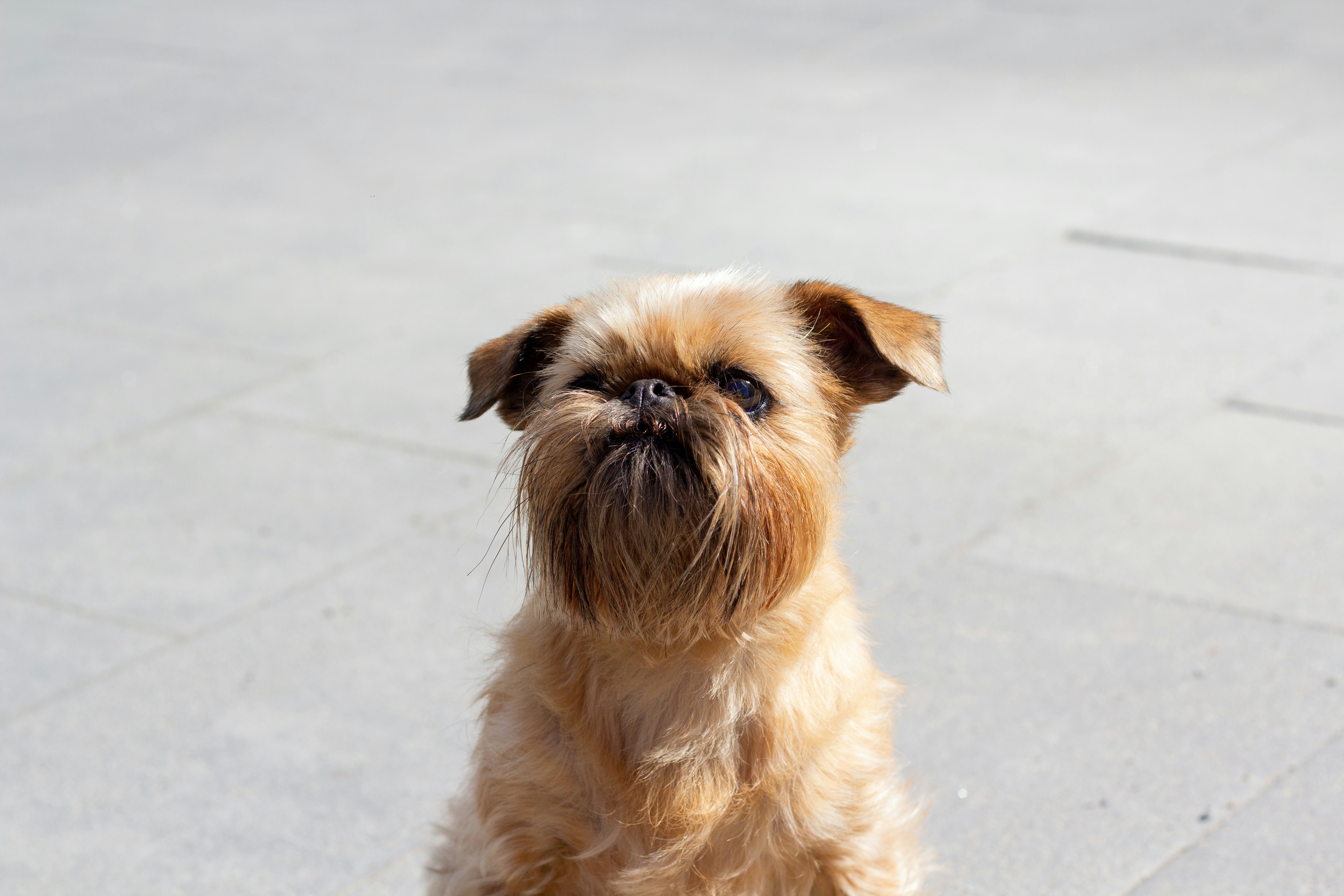 Photo by nocturnal_corvus