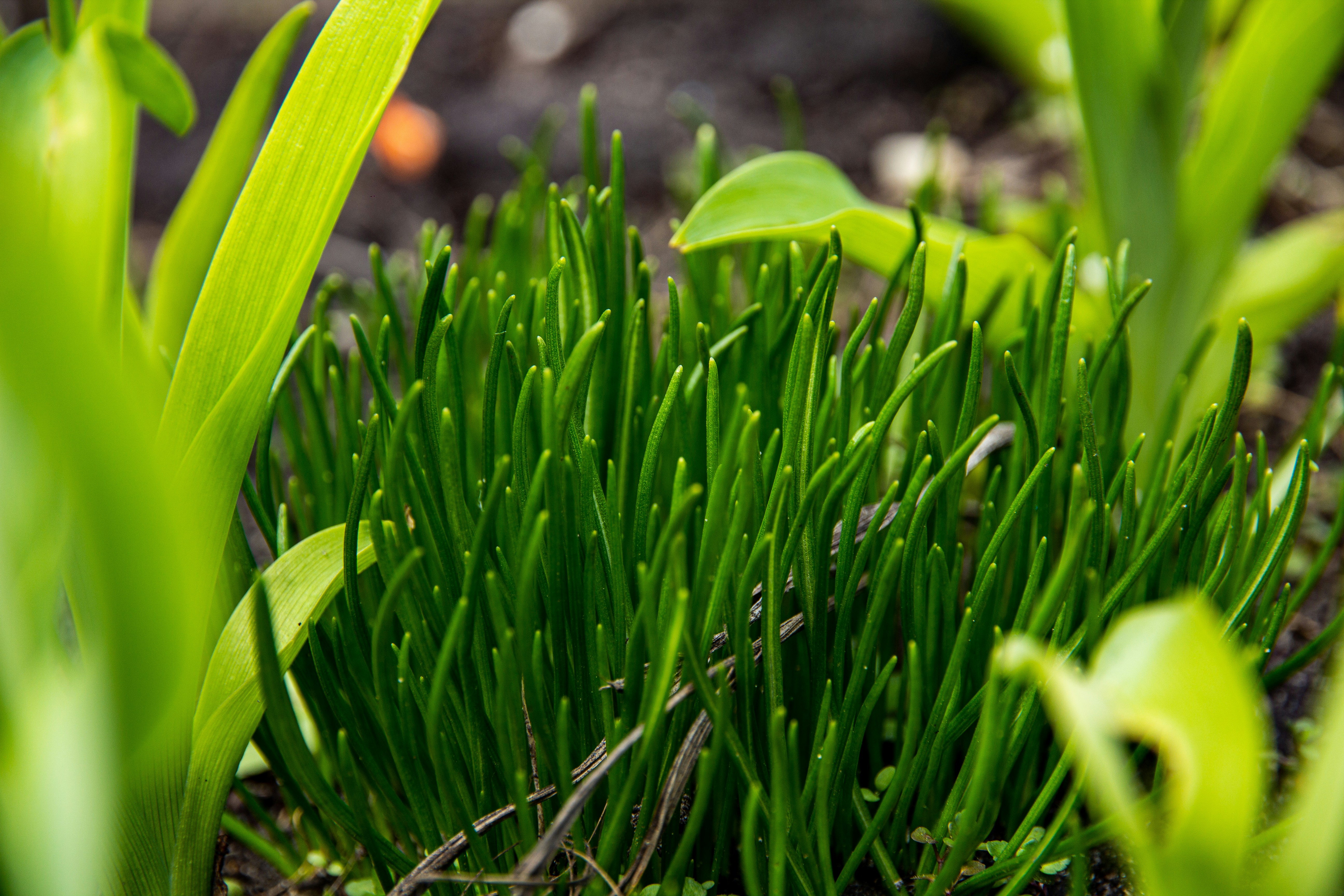 Photo by nocturnal_corvus