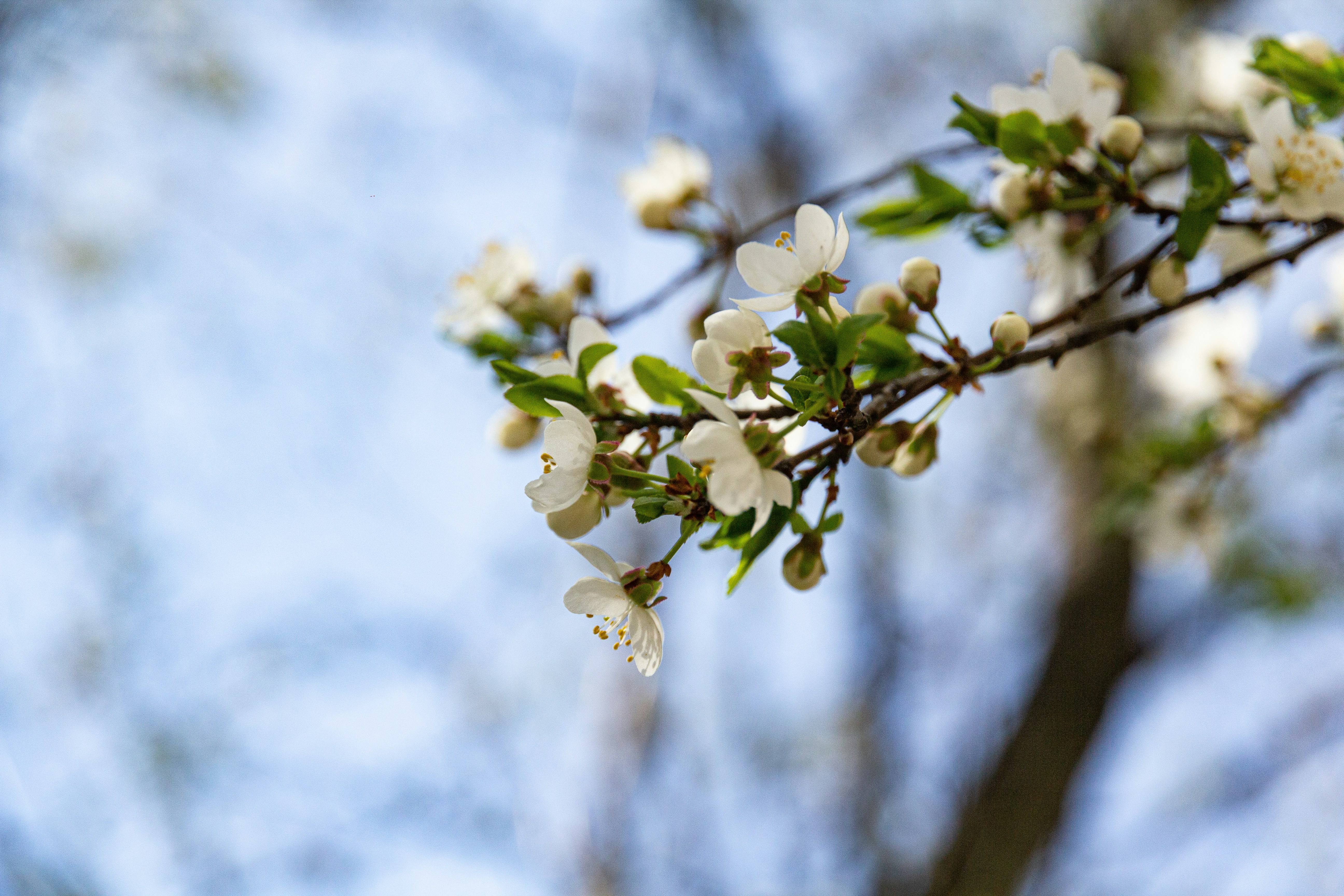 Photo by nocturnal_corvus