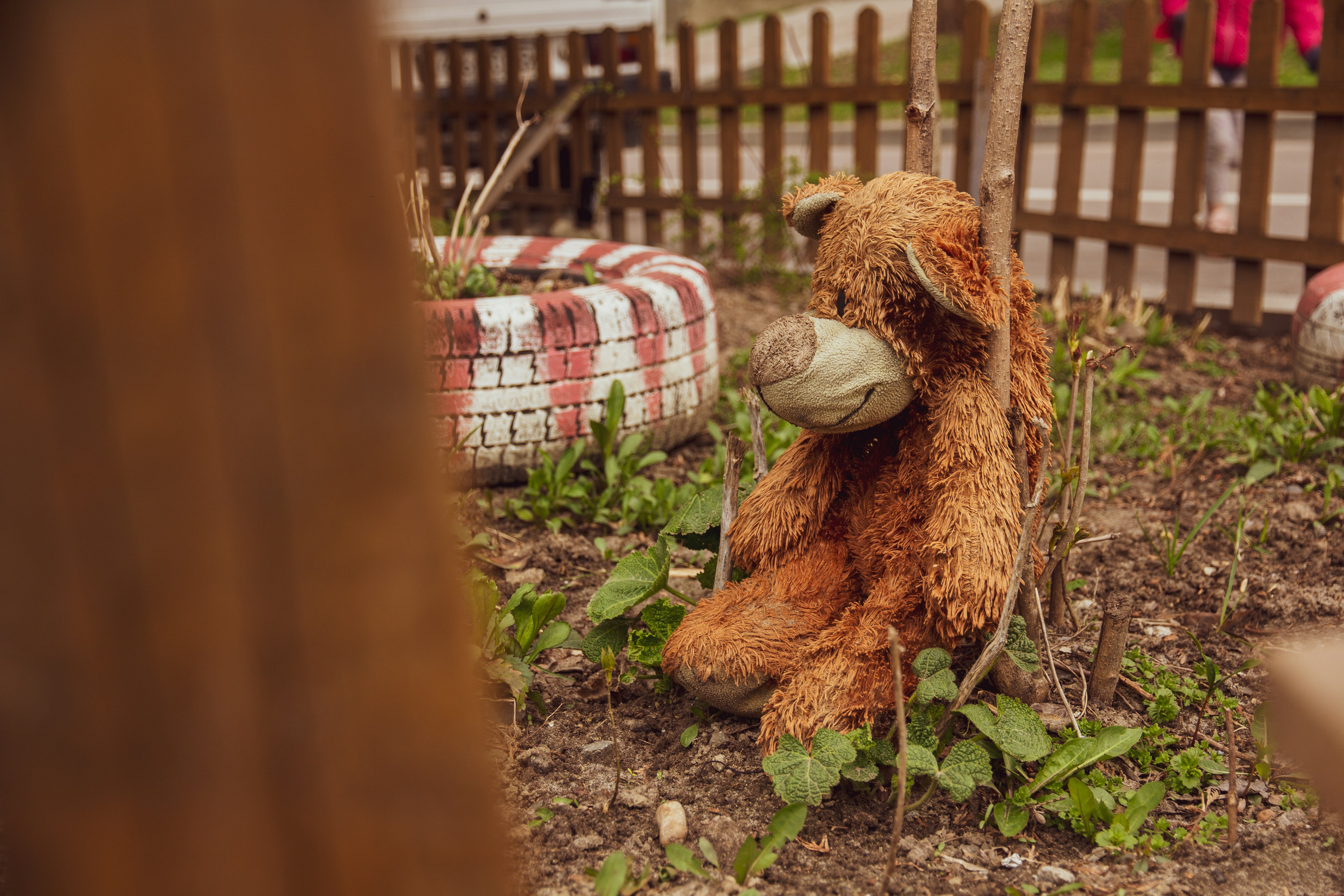 Photo by nocturnal_corvus