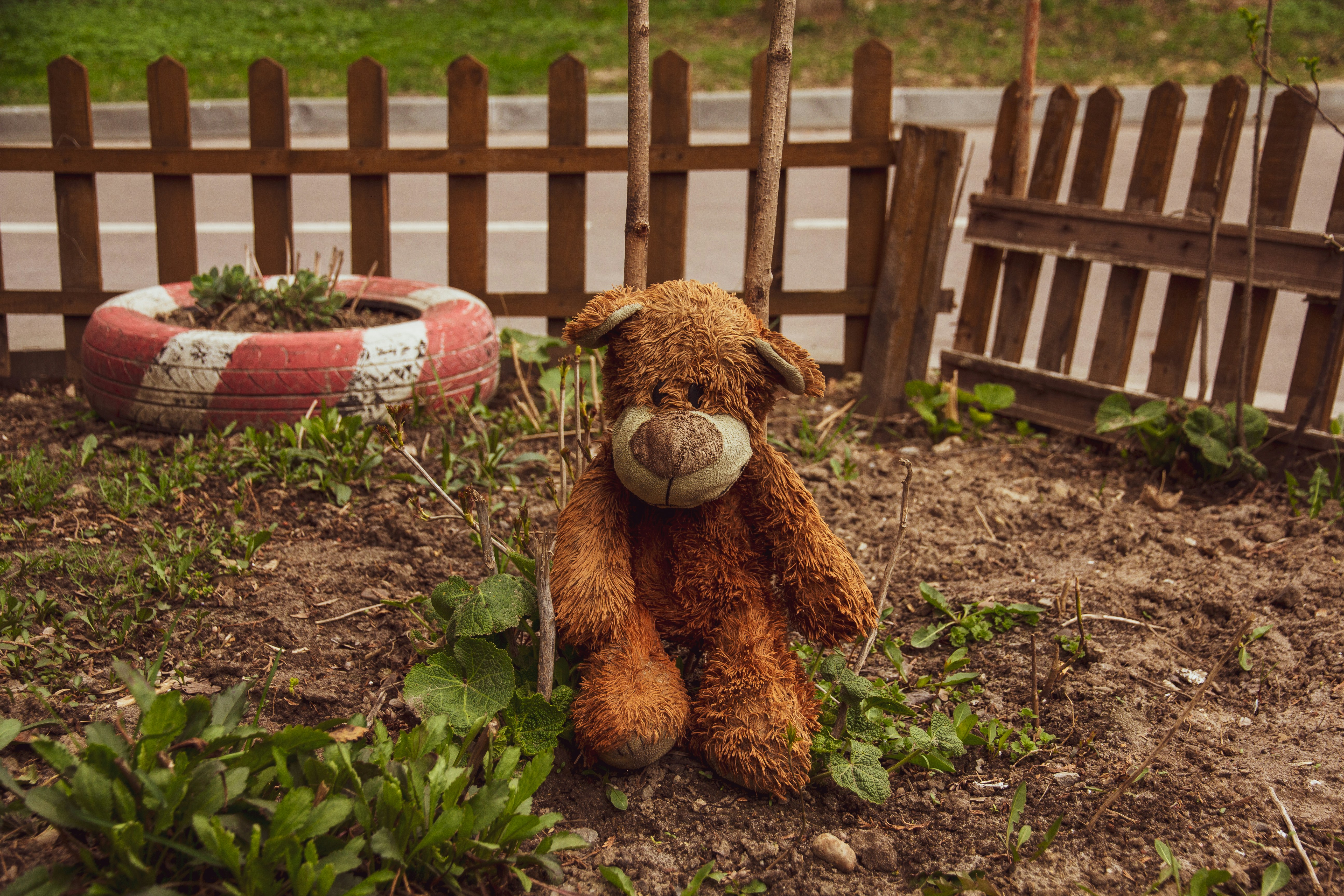 Photo by nocturnal_corvus