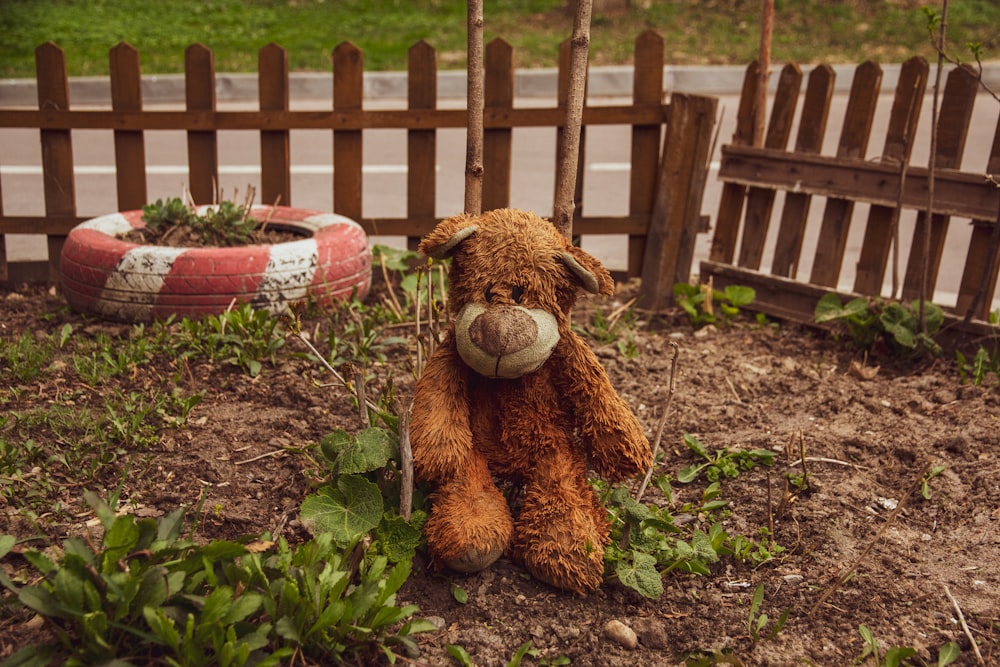 a brown teddy bear sitting in the dirt