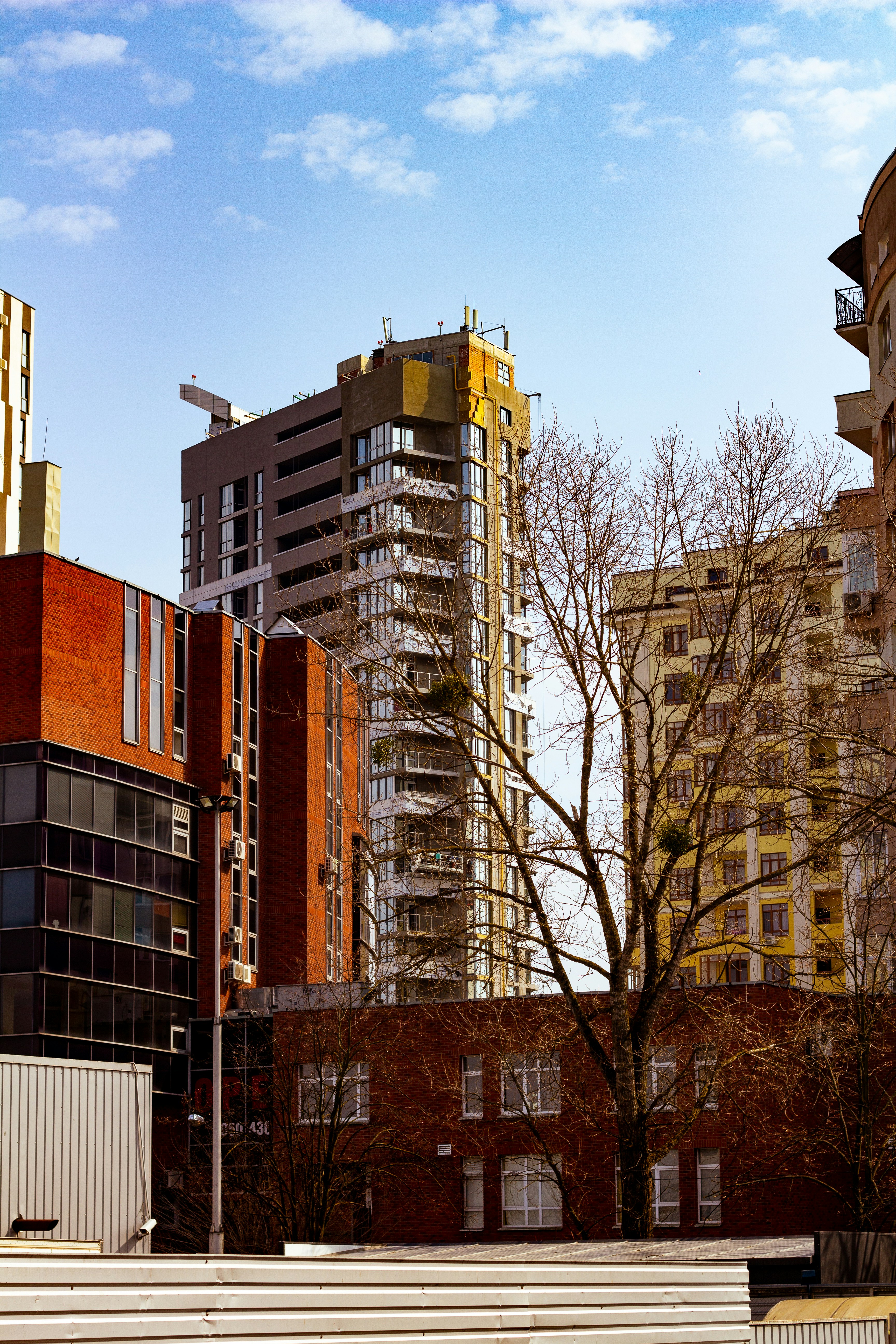 Photo by nocturnal_corvus