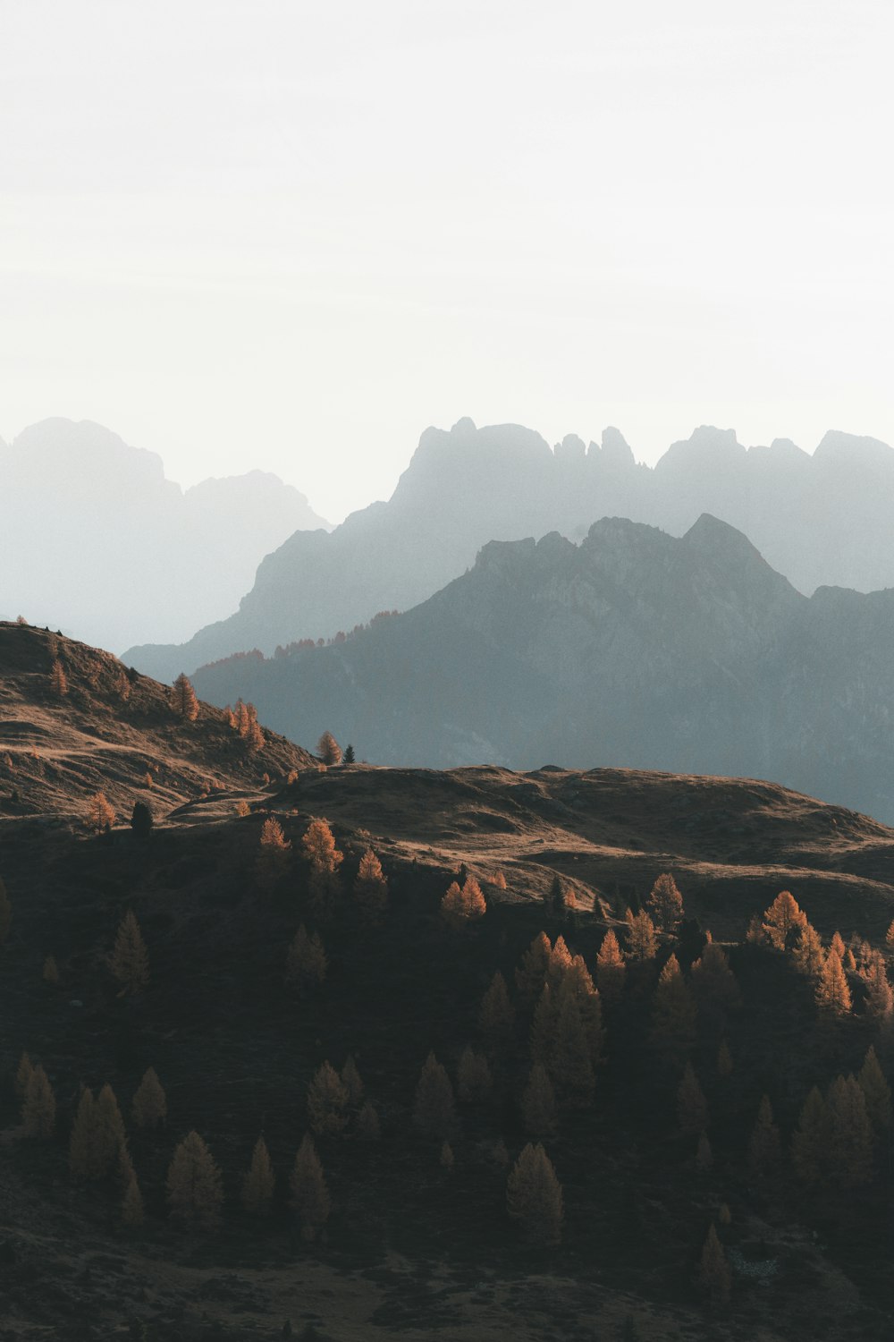 a view of a mountain range with trees in the foreground