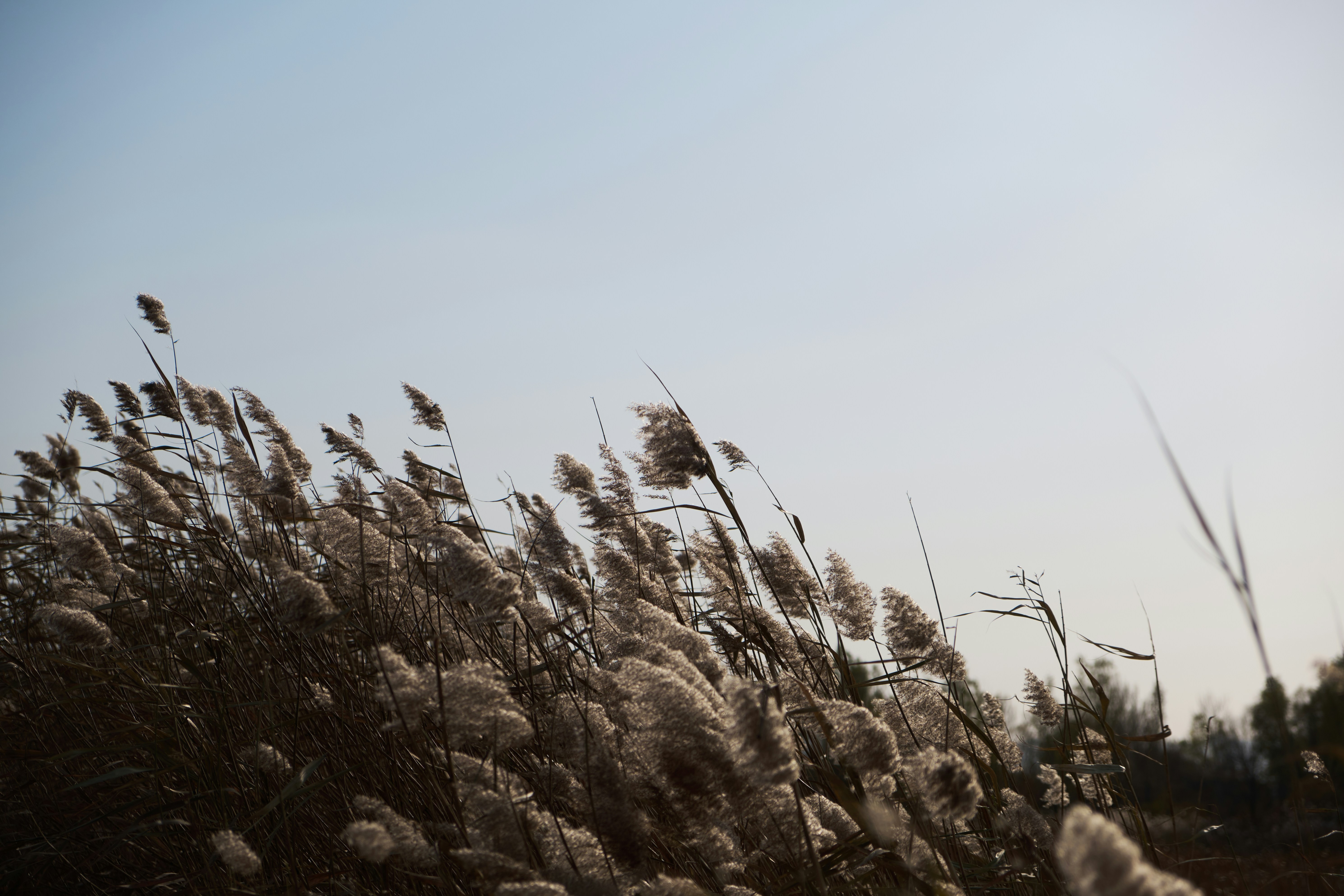 Photo by krzhck