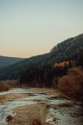 A calm river winding through a lush green valley under a pale morning sky.