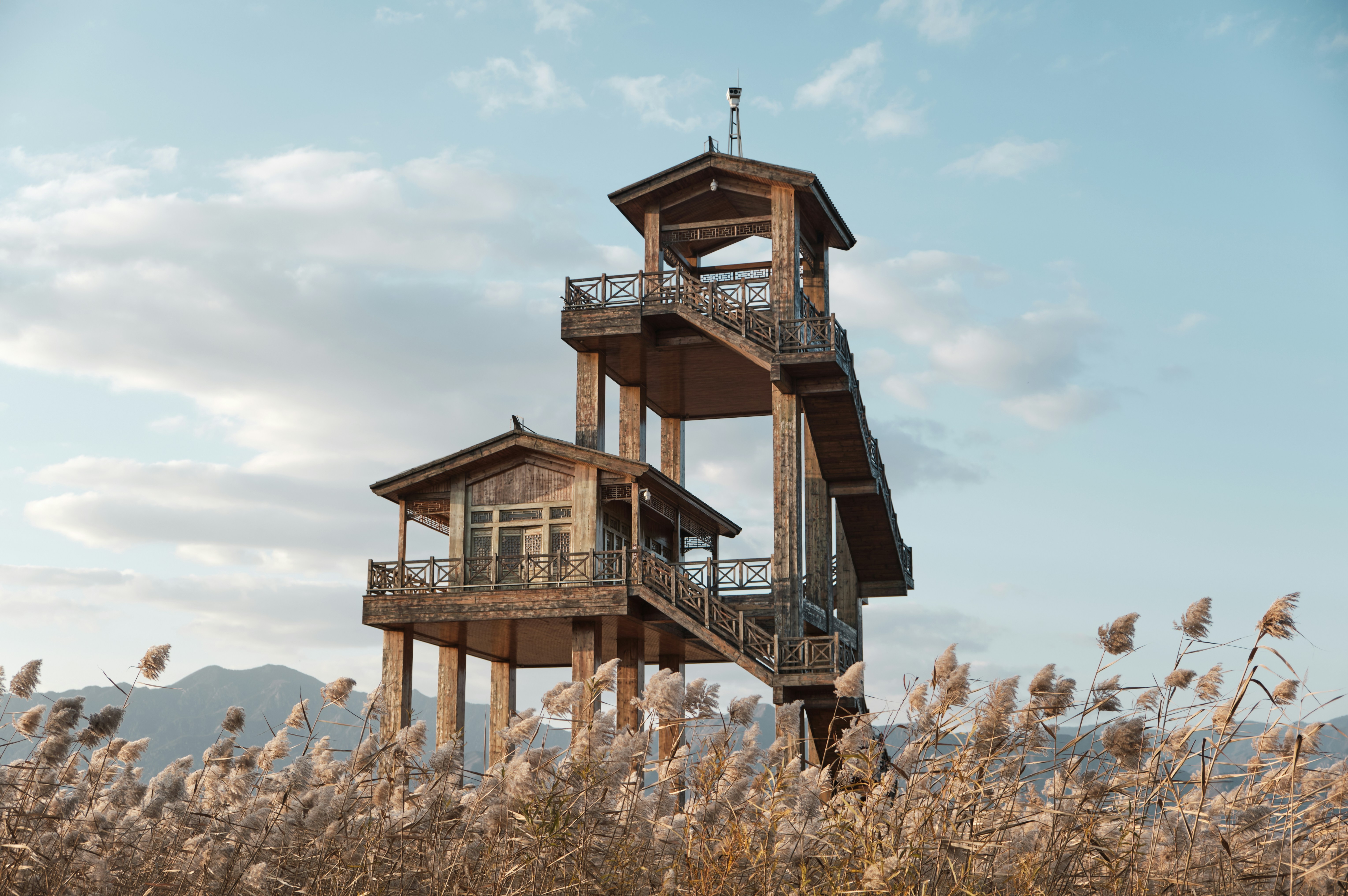 Tall Treehouse in grass field