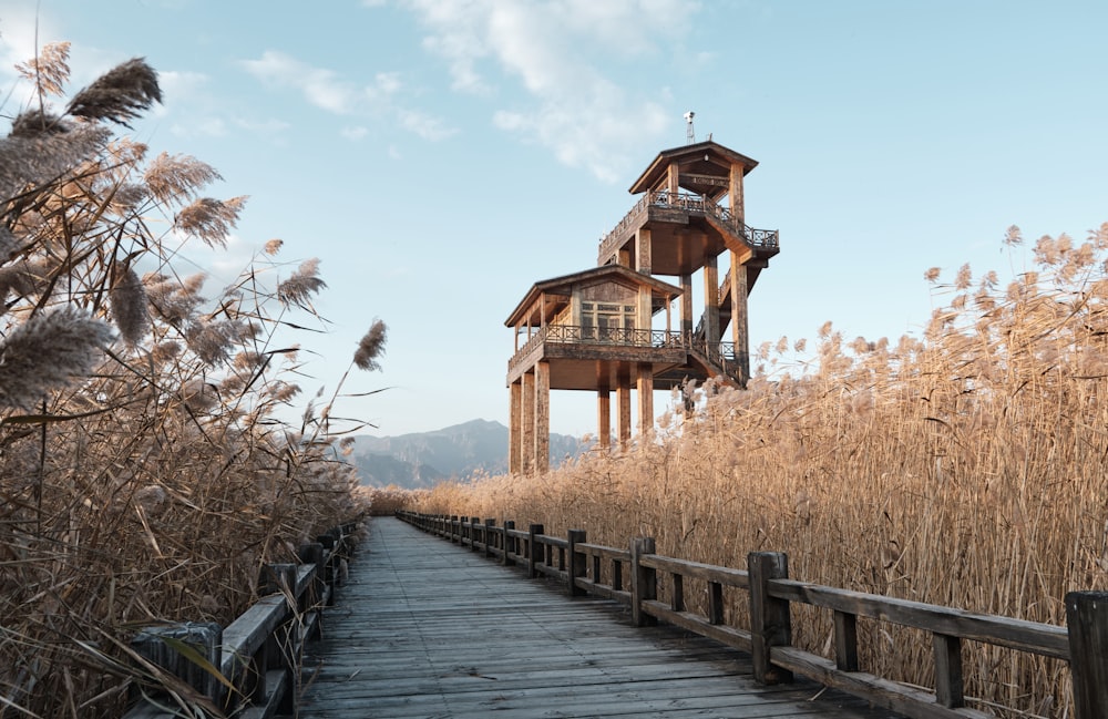 a wooden walkway leading to a tall building