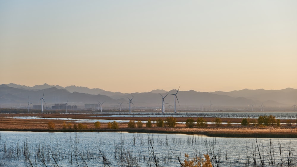 a large body of water with a bunch of windmills in the background